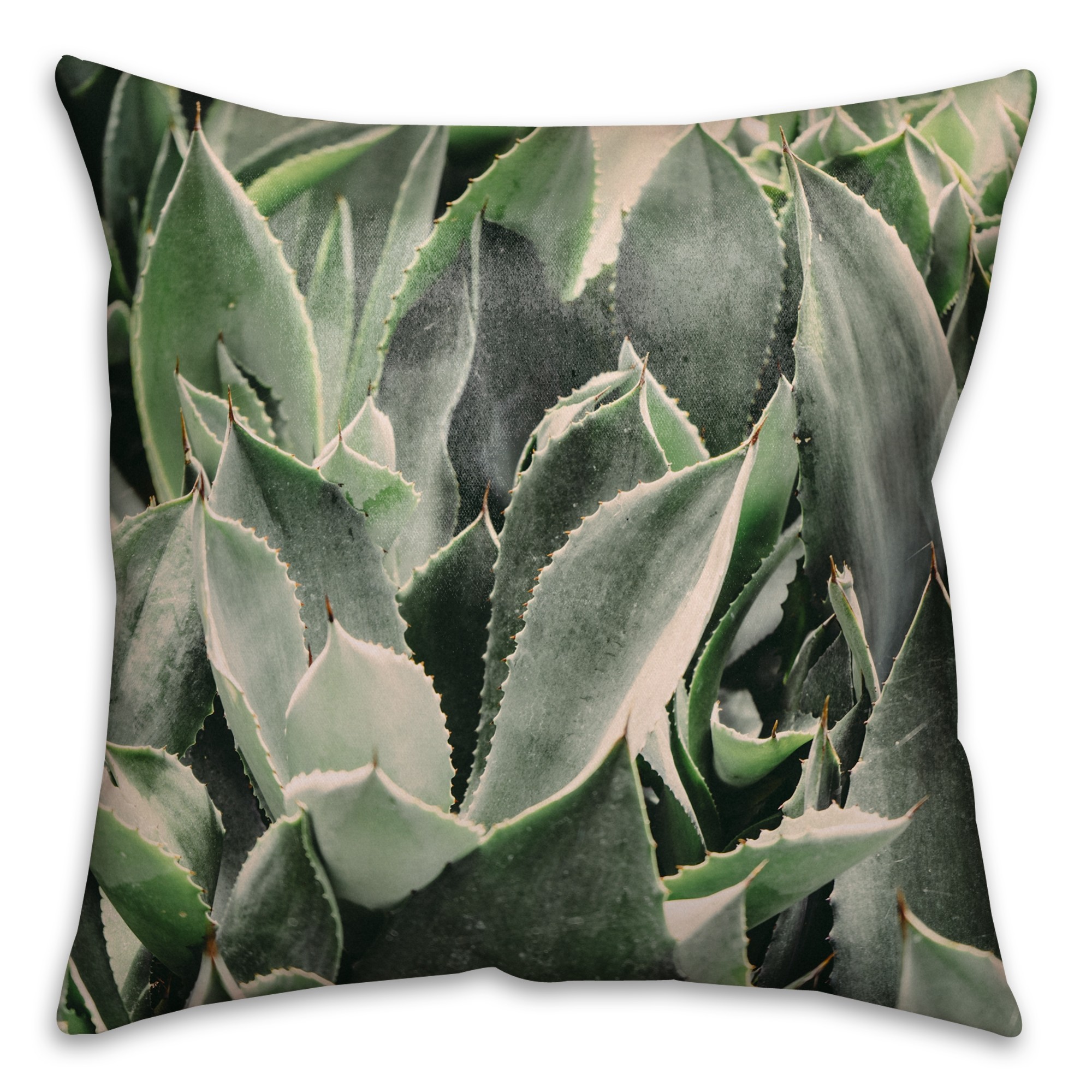 Lavish Succulent 16x16 Throw Pillow