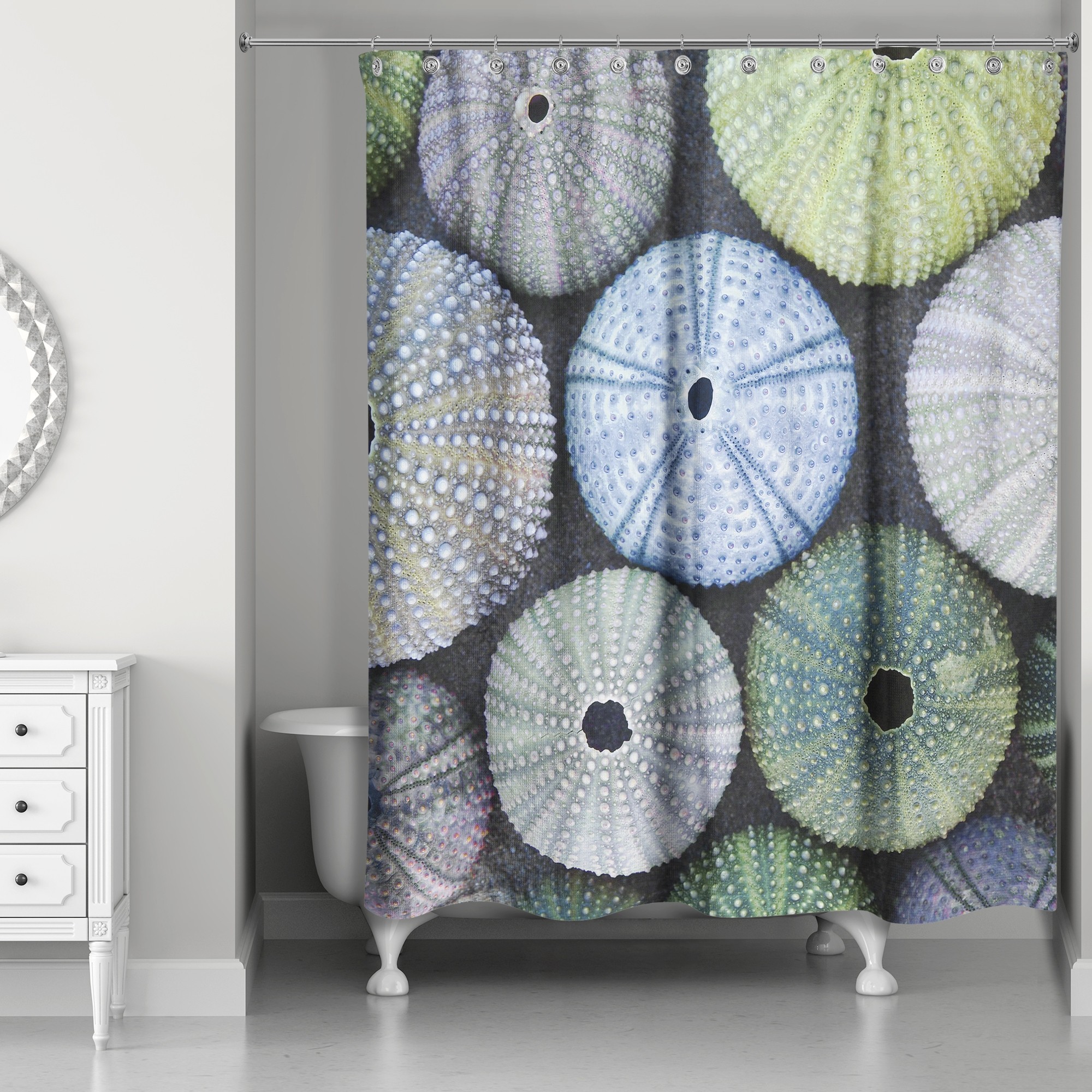Sea Urchins 71x74 Shower Curtain