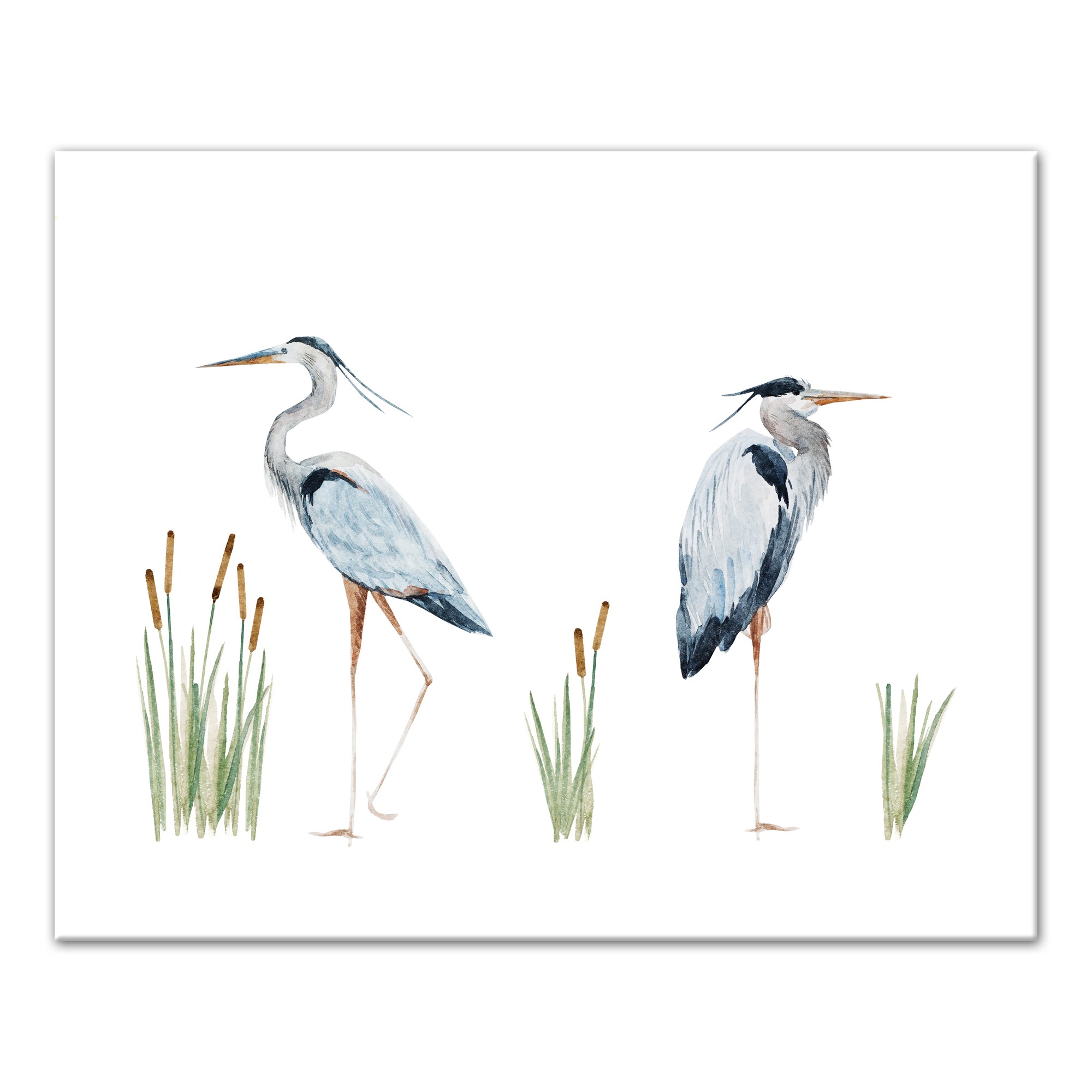Watchful Watercolor Herons 30x24 Canvas