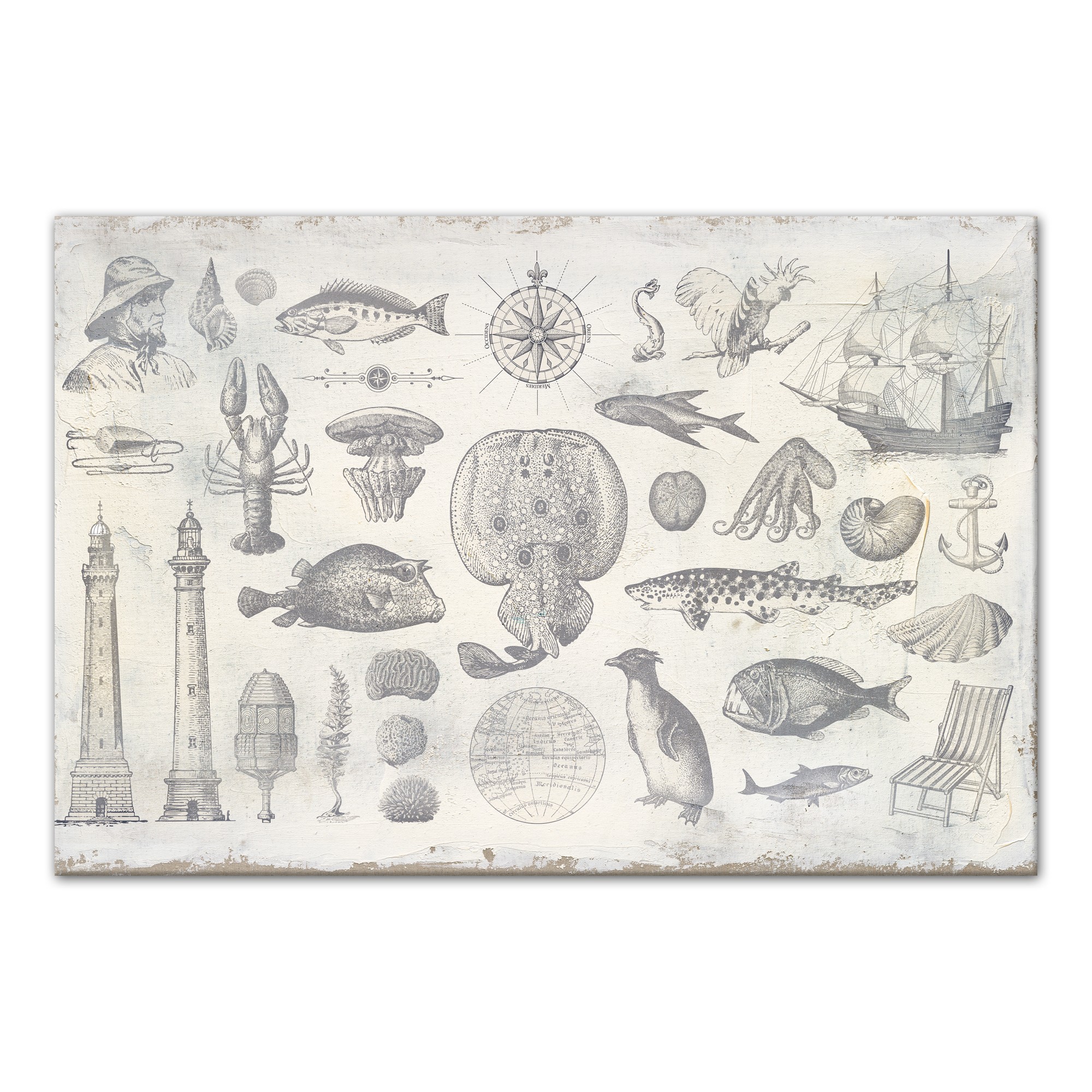 Coastal Items 36x24 Canvas