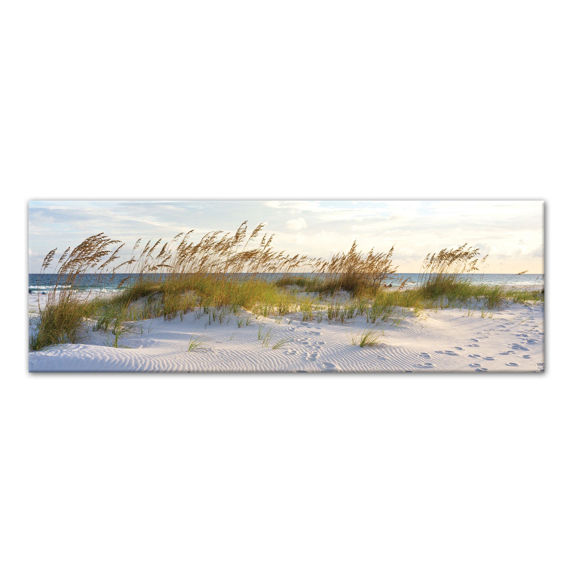 Sea Oats Beach 60x20 Canvas