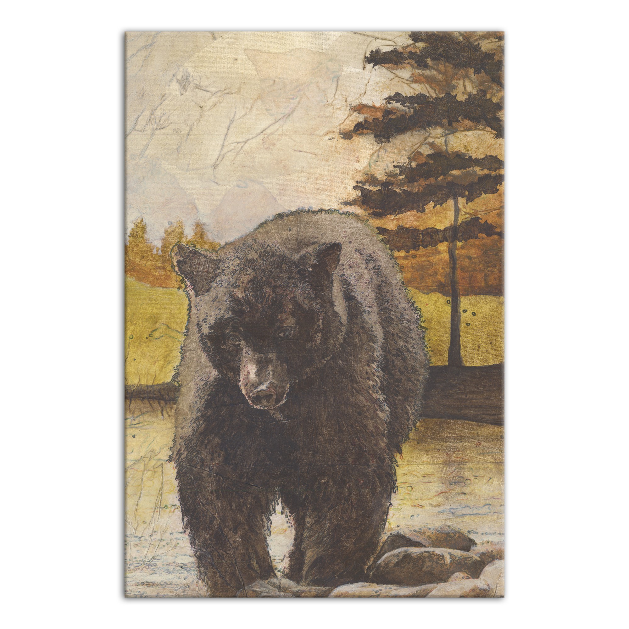 Forest Bear 24x36 Canvas