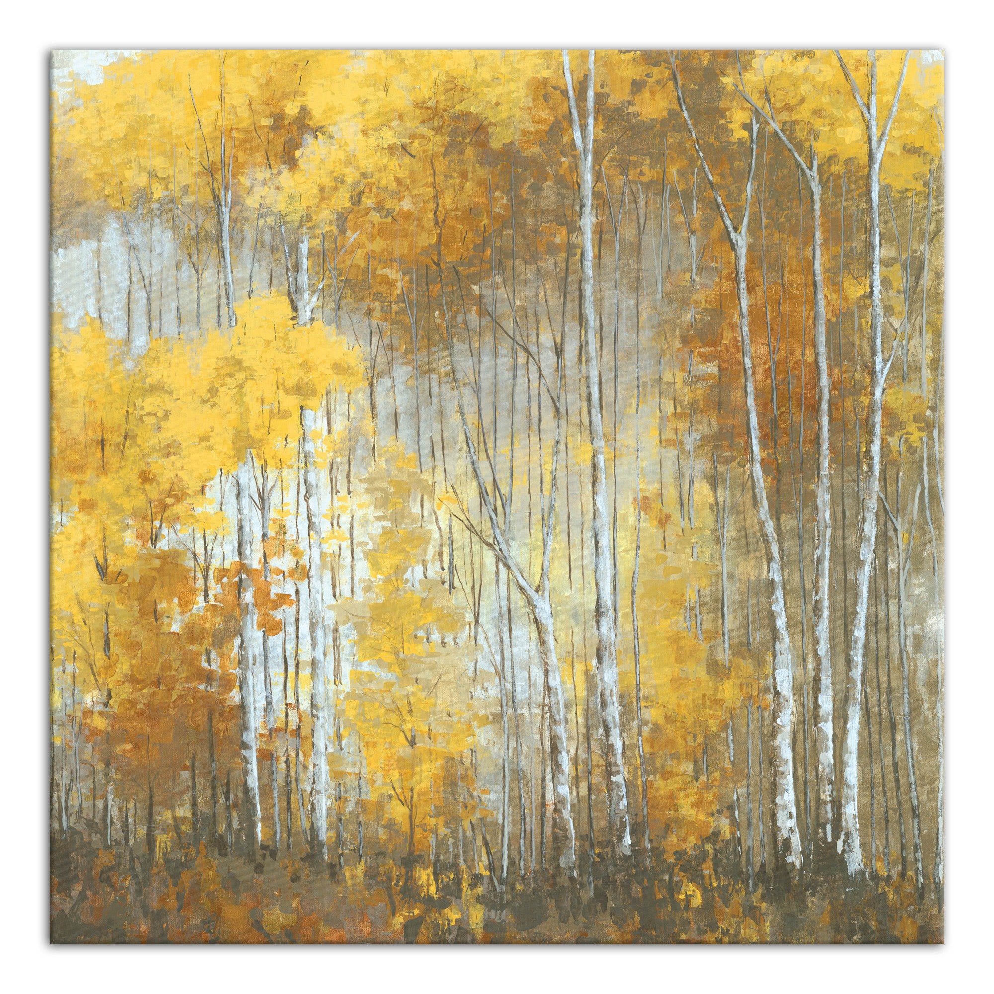 Autumn Forest 36x36 Canvas