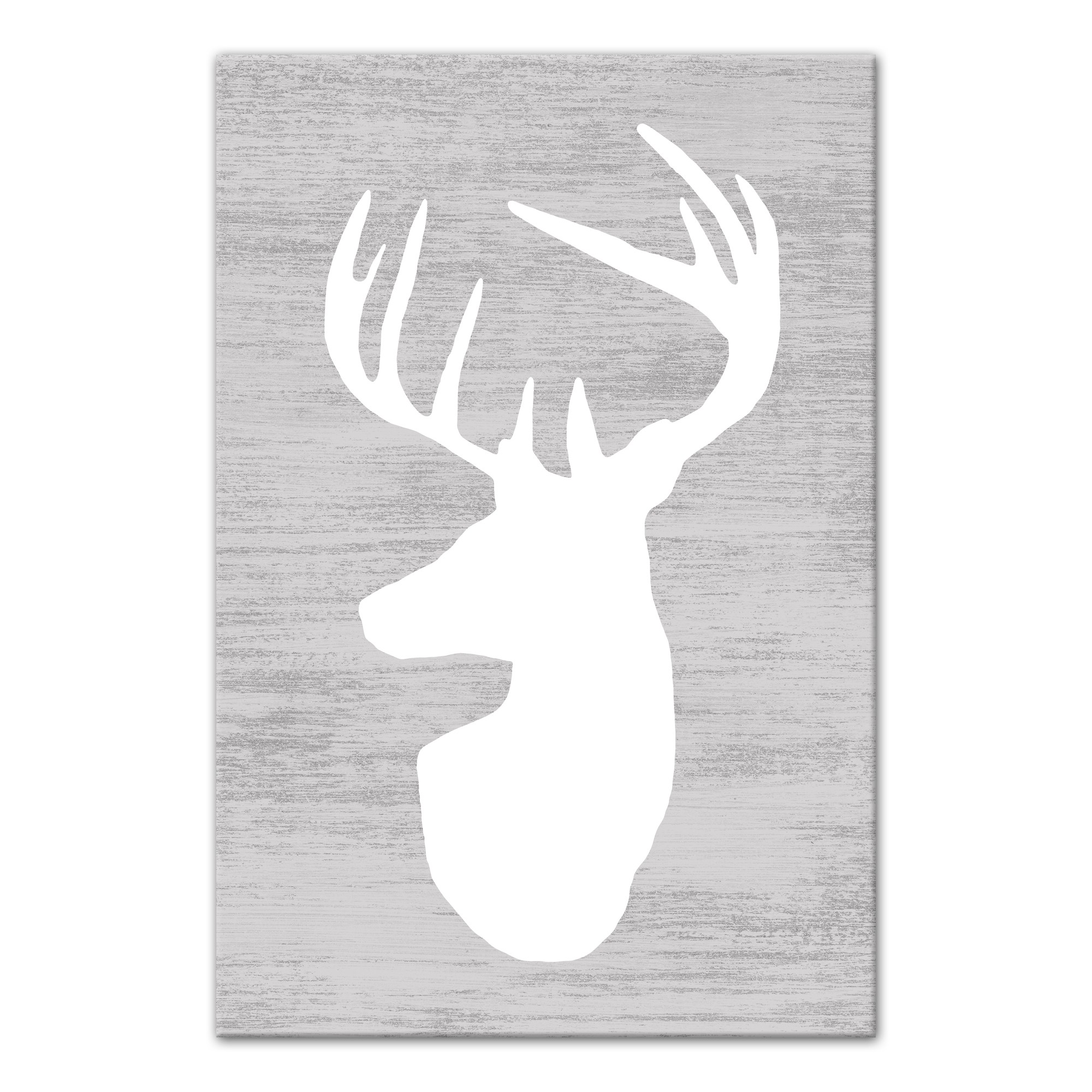 White Deer Head 24x36 Canvas