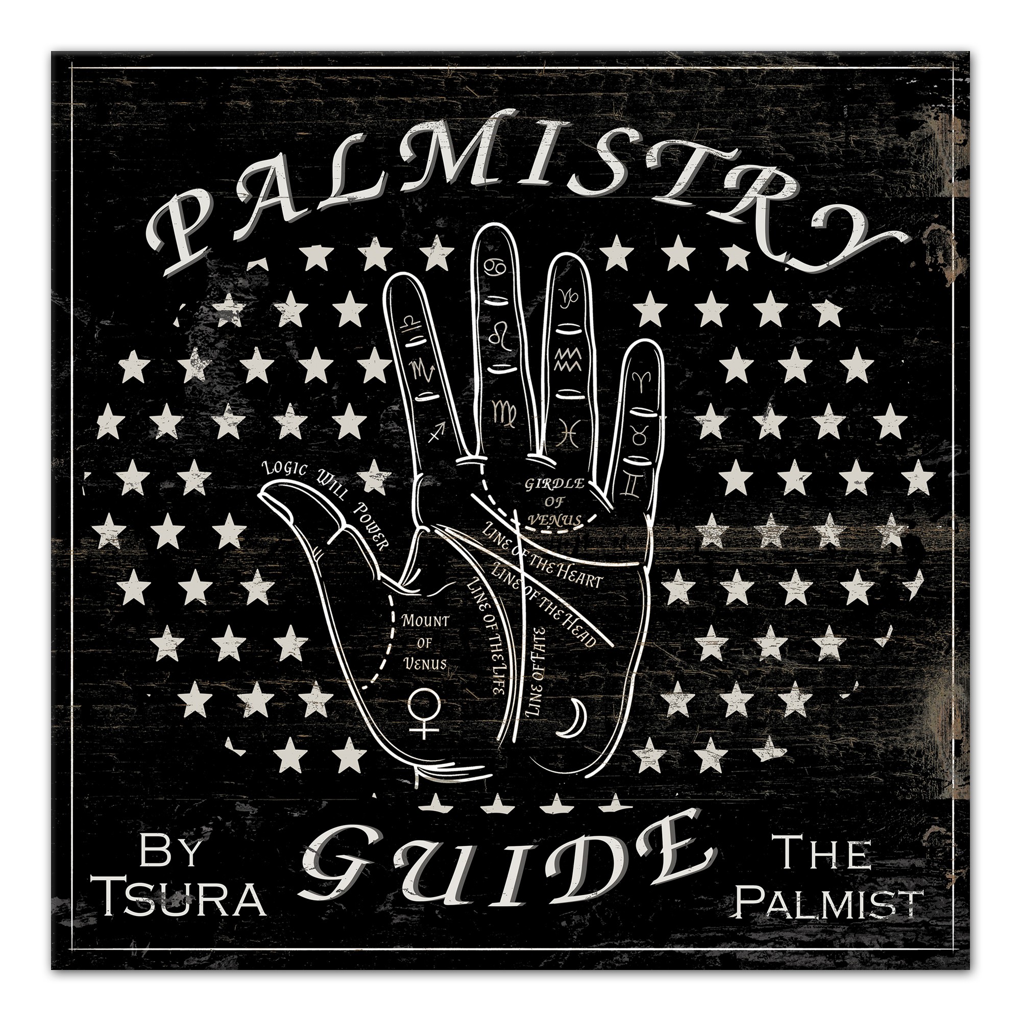 Fortune Teller Palm Reading Guide 16x16 Canvas Wall Art