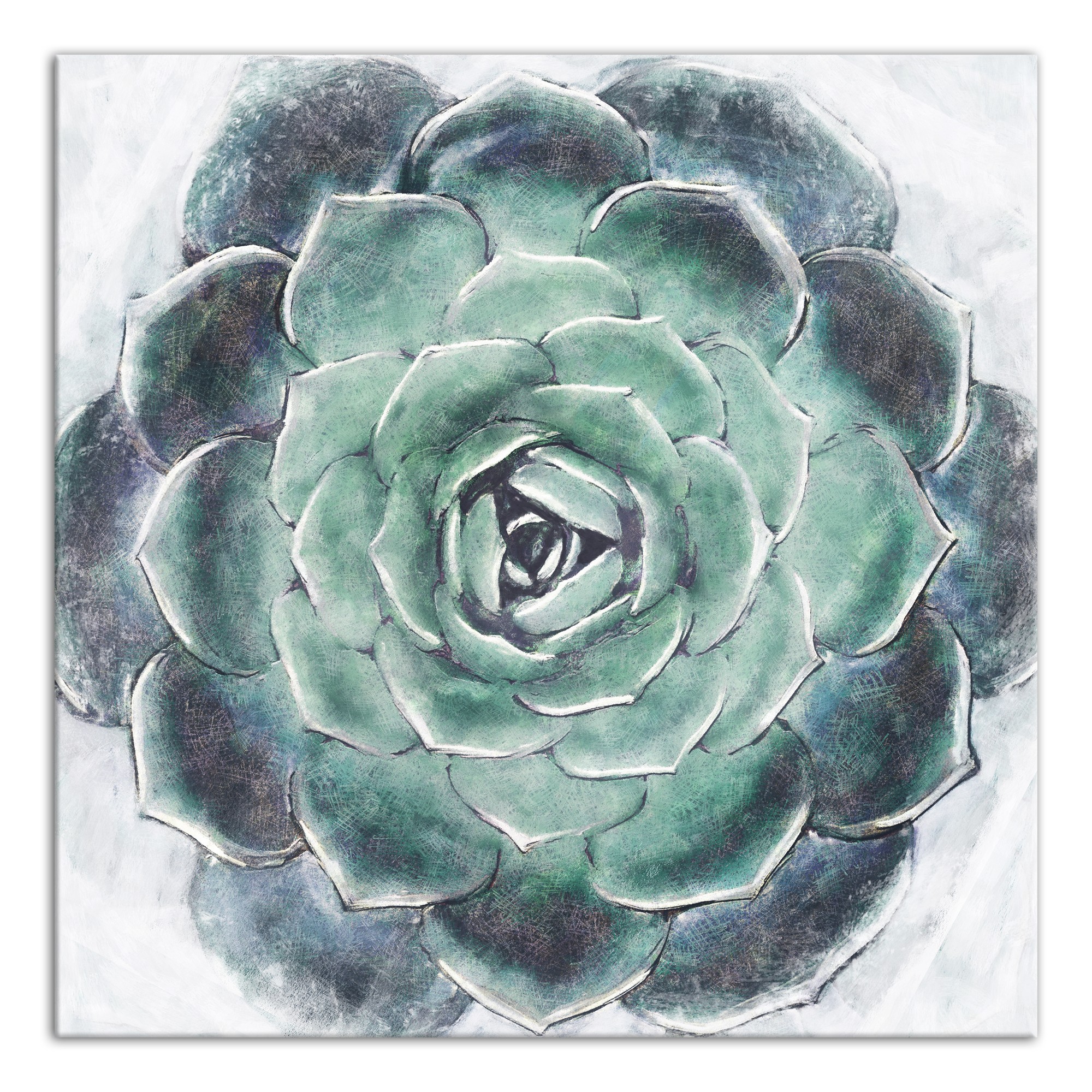 Up-close Succulent 36x36 Canvas