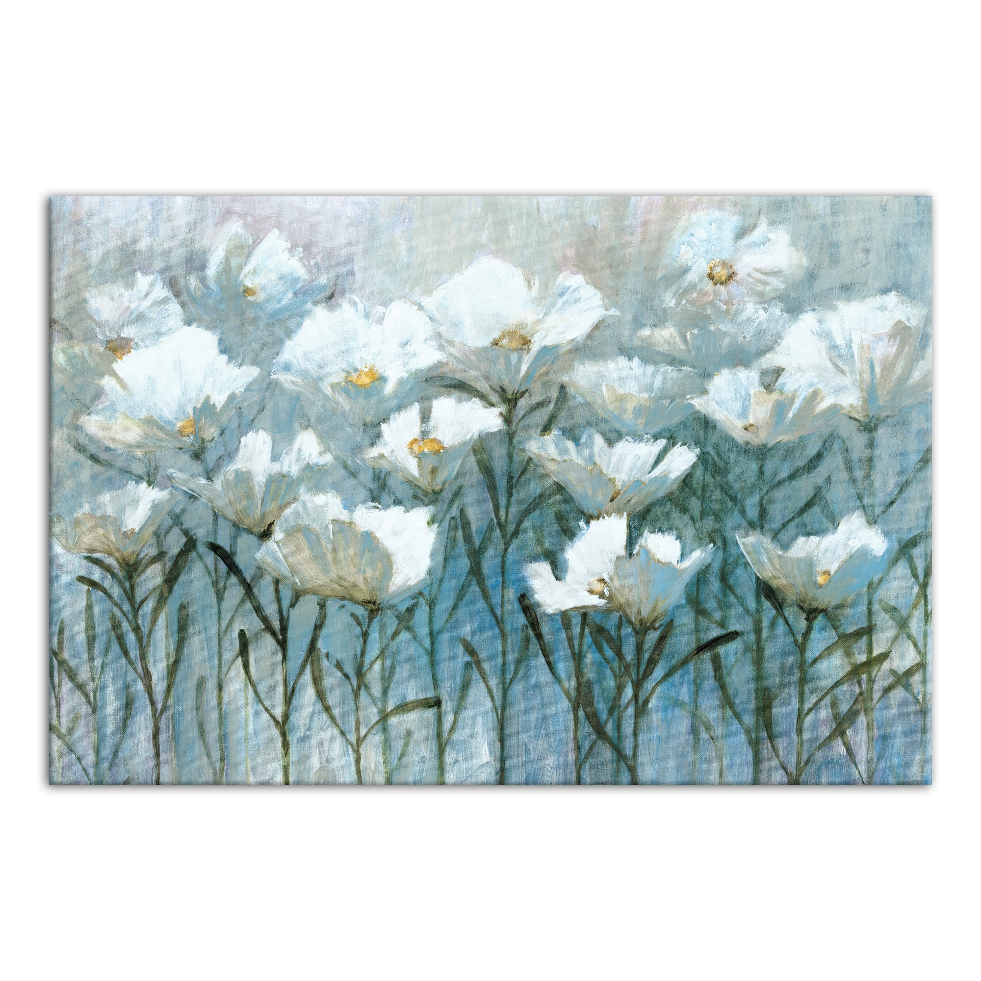 White Flower Field 48x32 Canvas