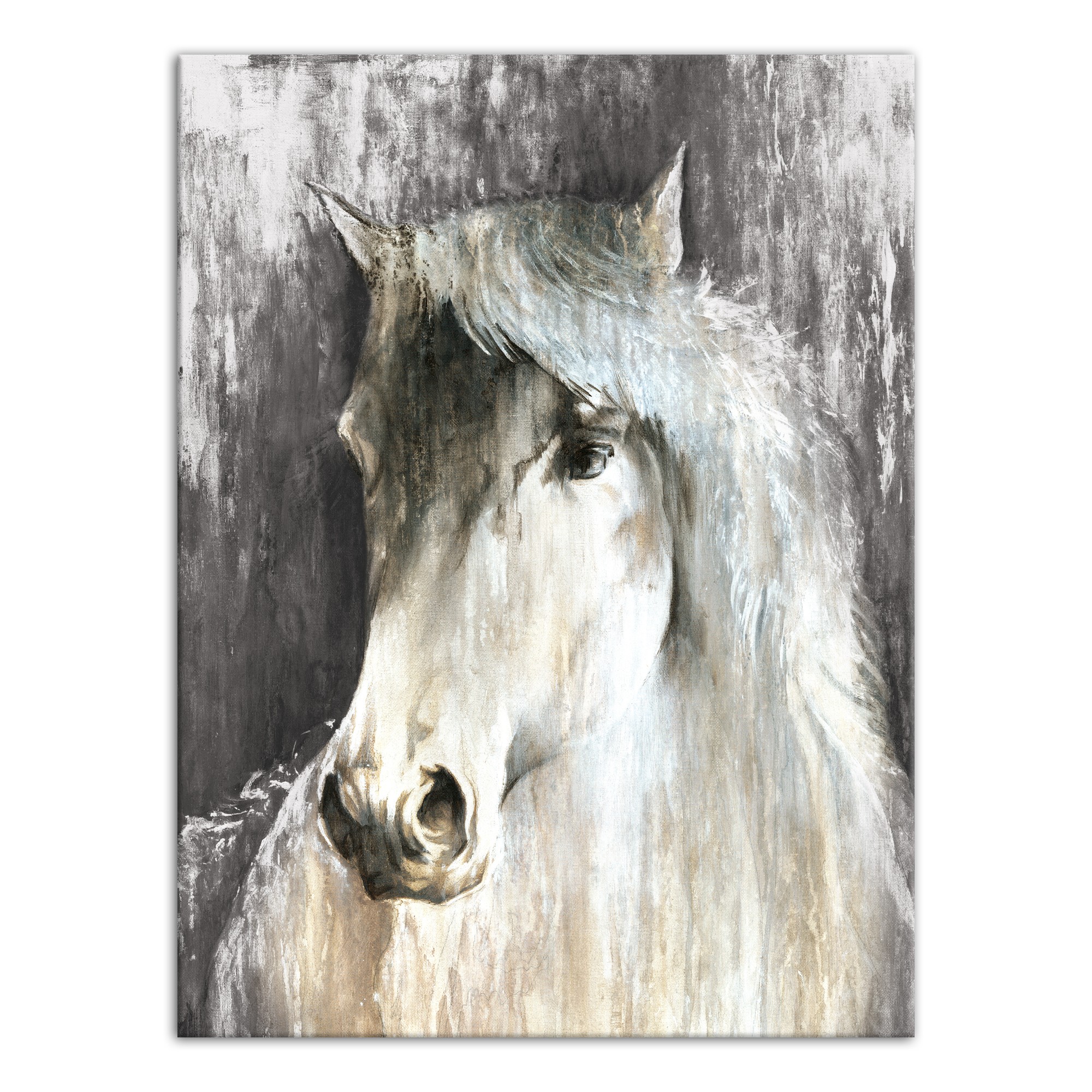 White Painted Horse 30x40 Canvas
