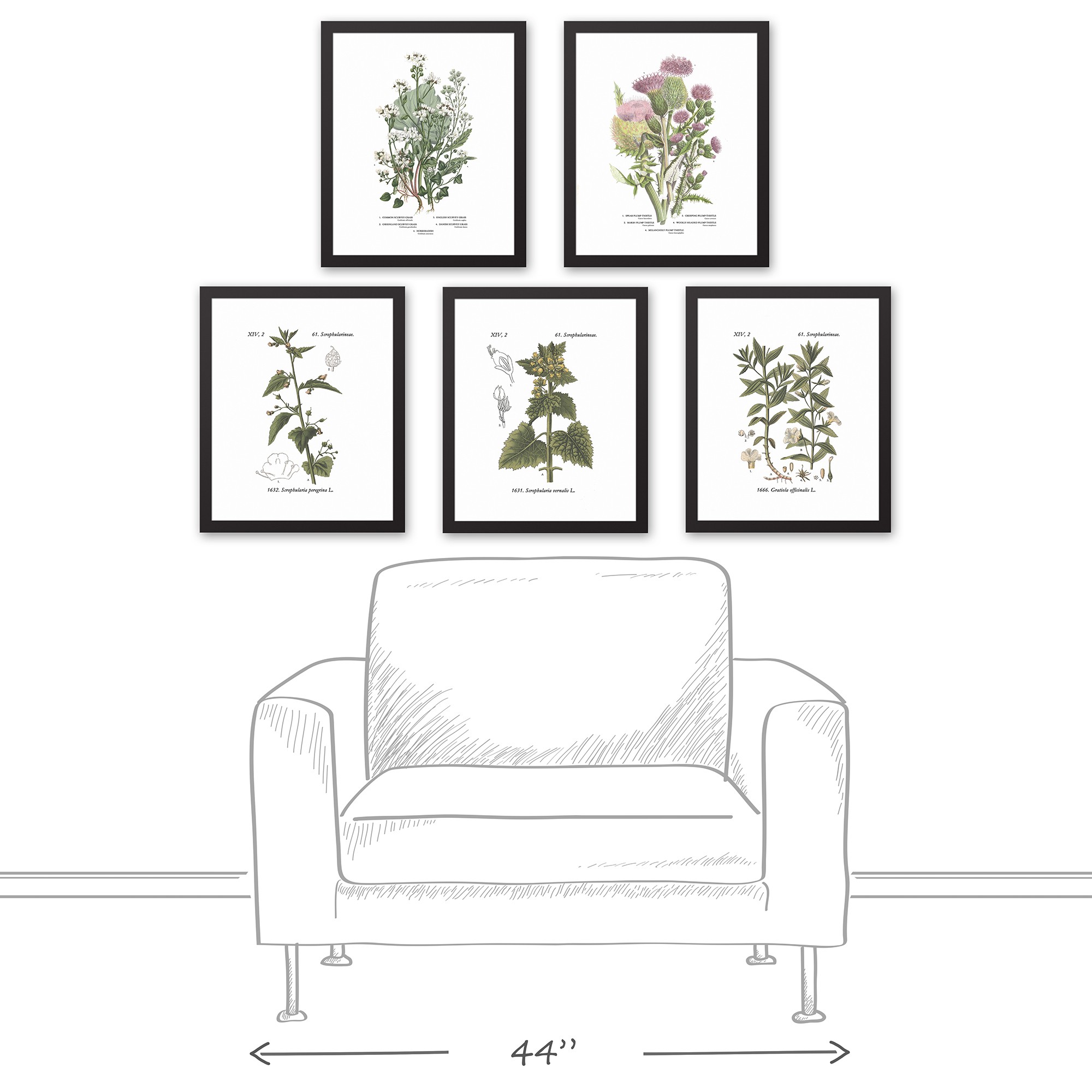 Plant Studies 11x14 Black Framed Canvas Set
