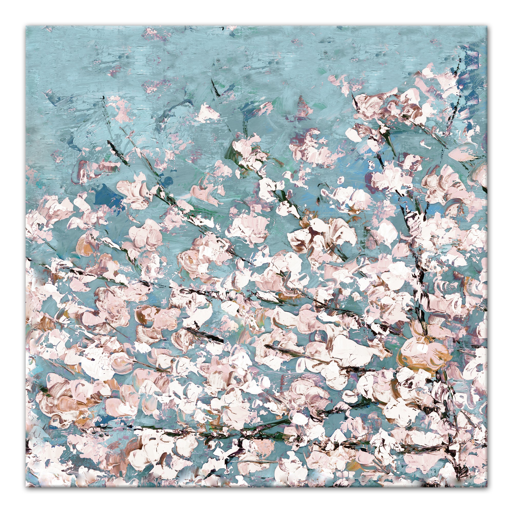 Soft Cherry Blossoms 36x36 Canvas