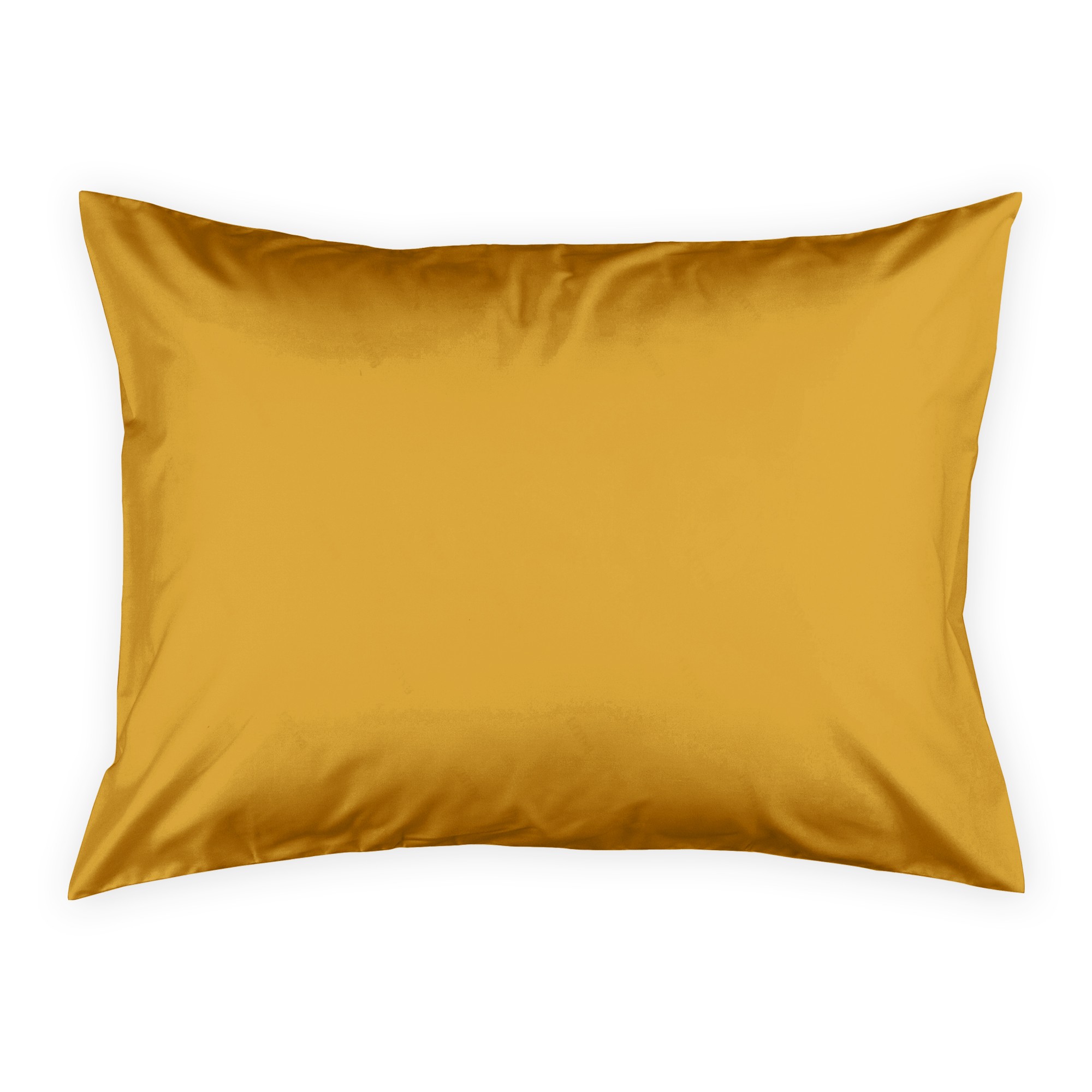 Tiger Stripes Standard Sham