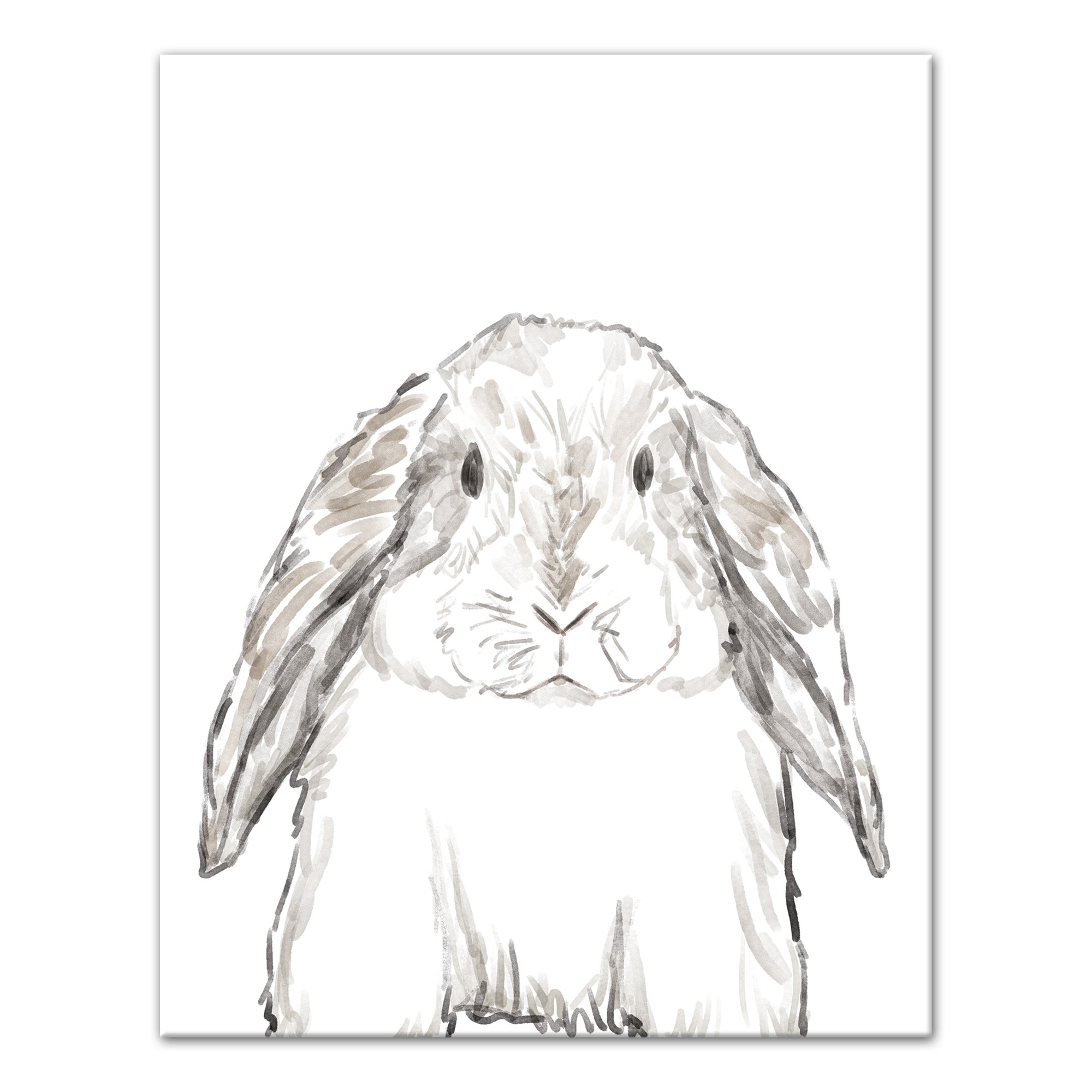 Baby Bunny Sketch Canvas Wall Art, 11x14