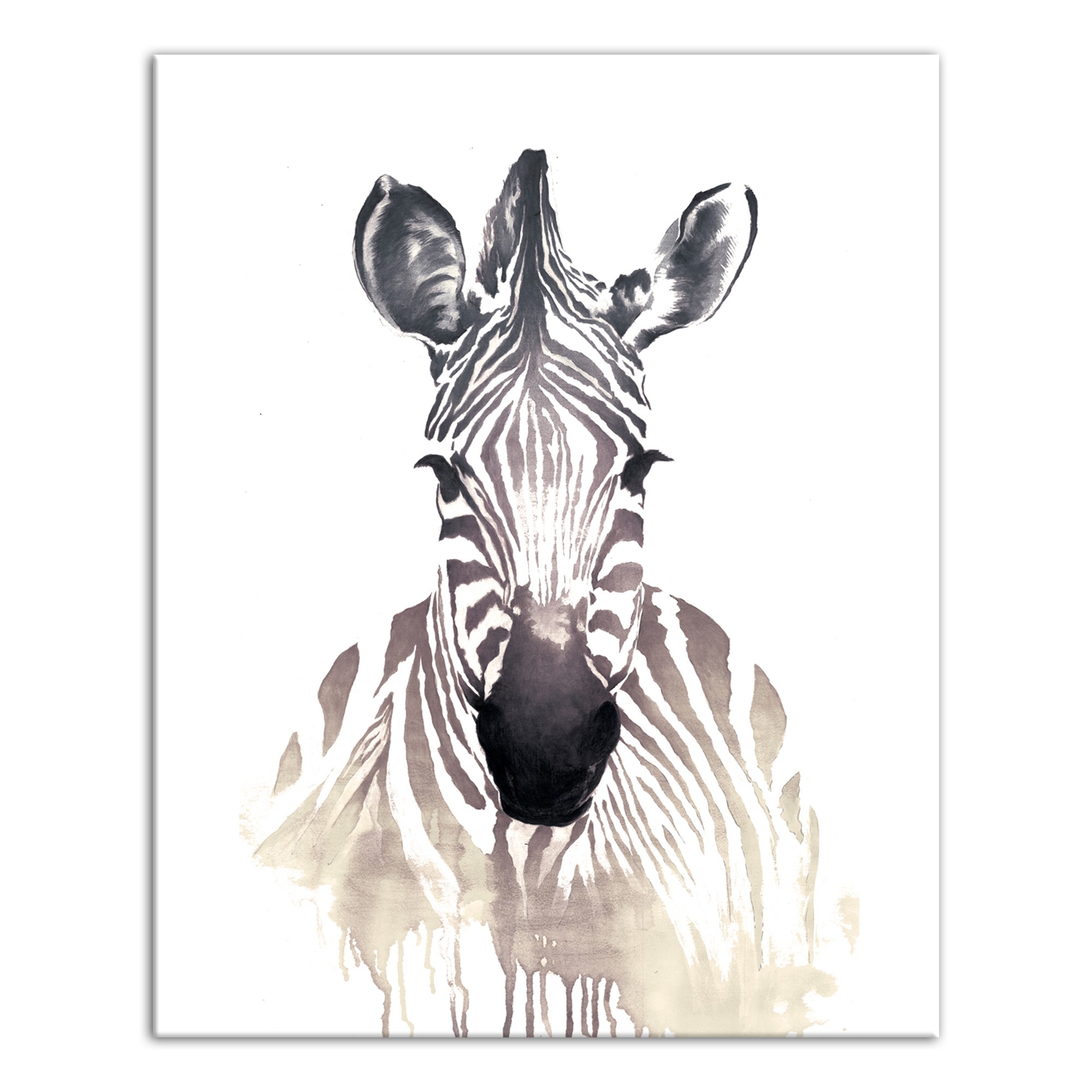 Watercolor Zebra Wall Art