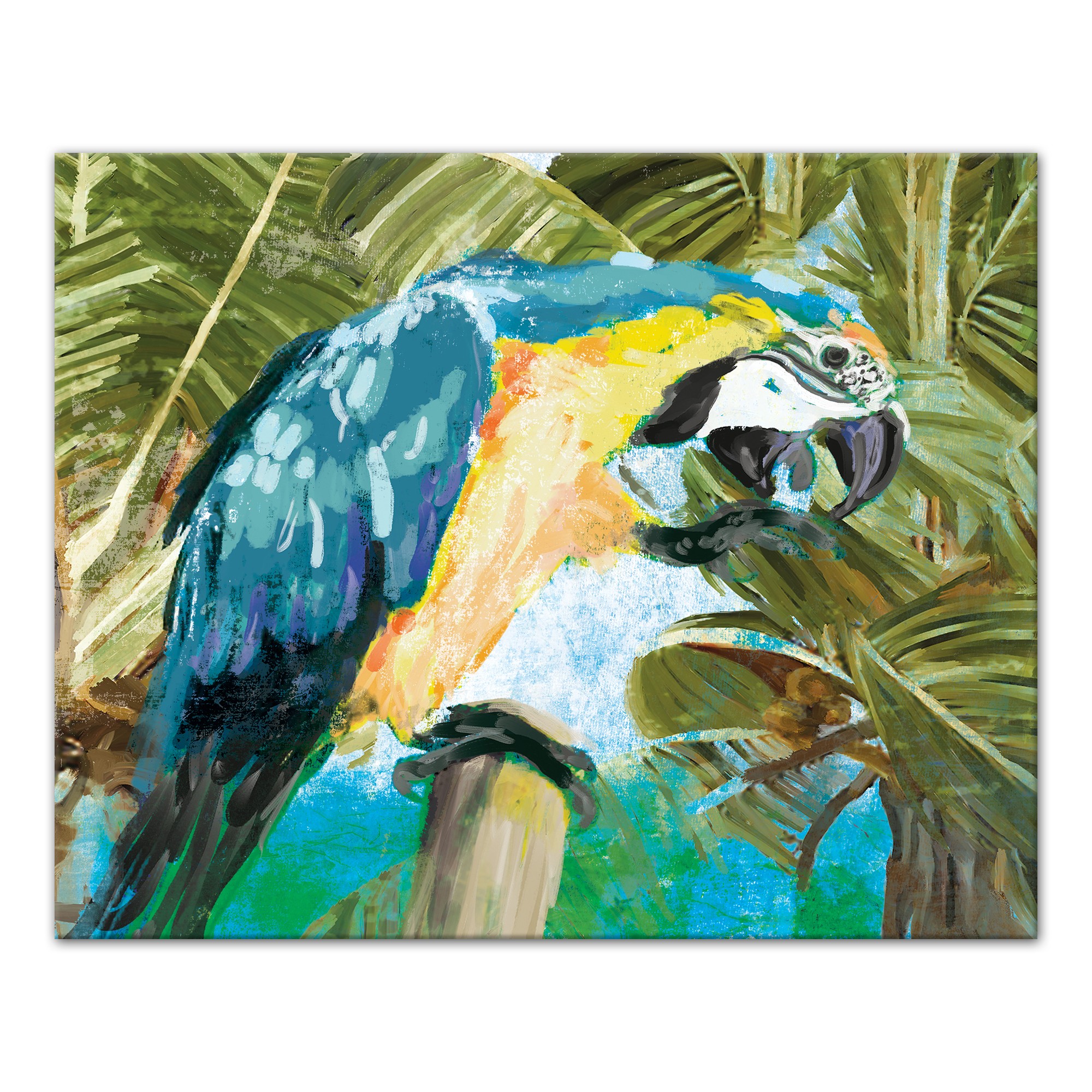 Tropical Blue Macaw 16x20 Canvas Wall Art