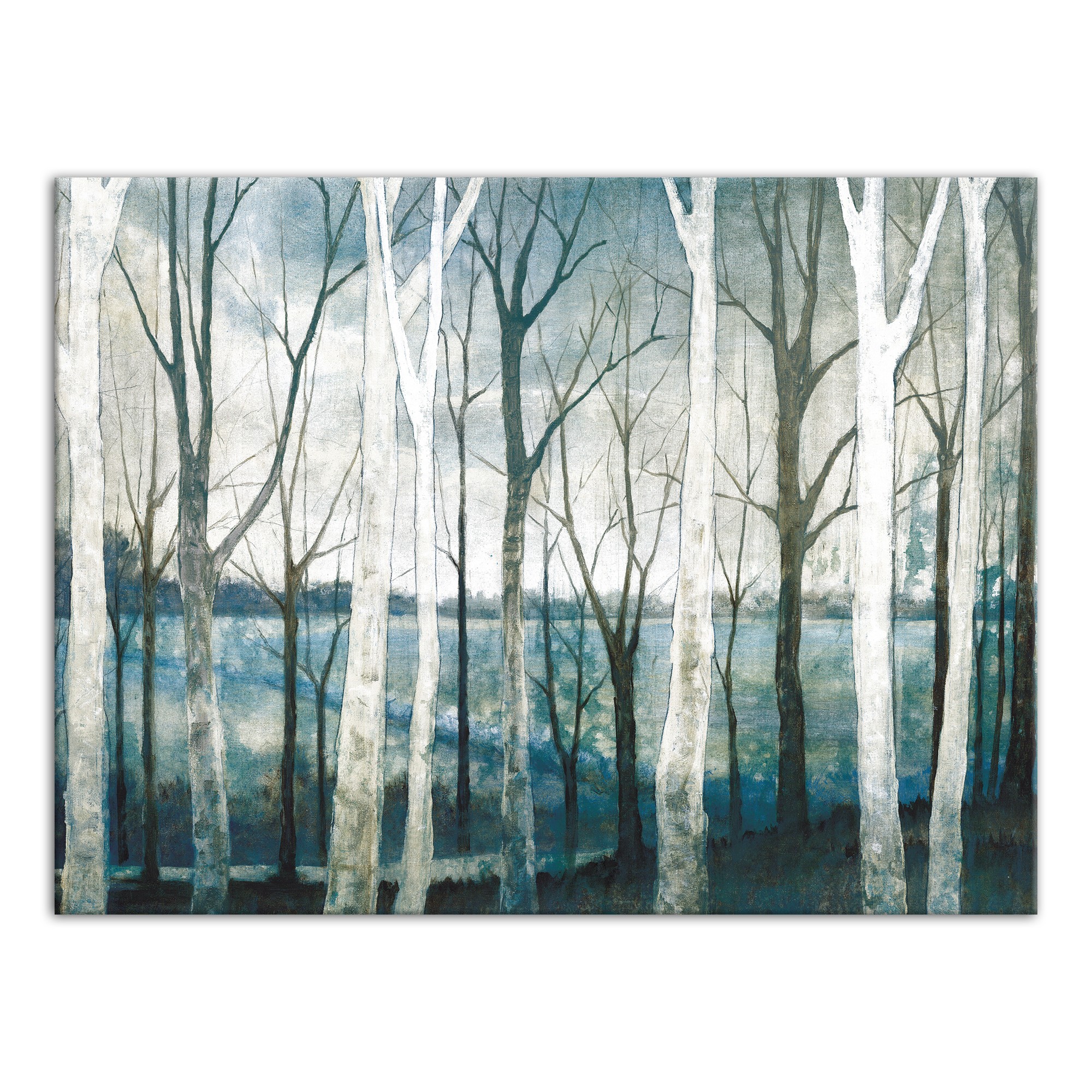 Birch Tree Marsh