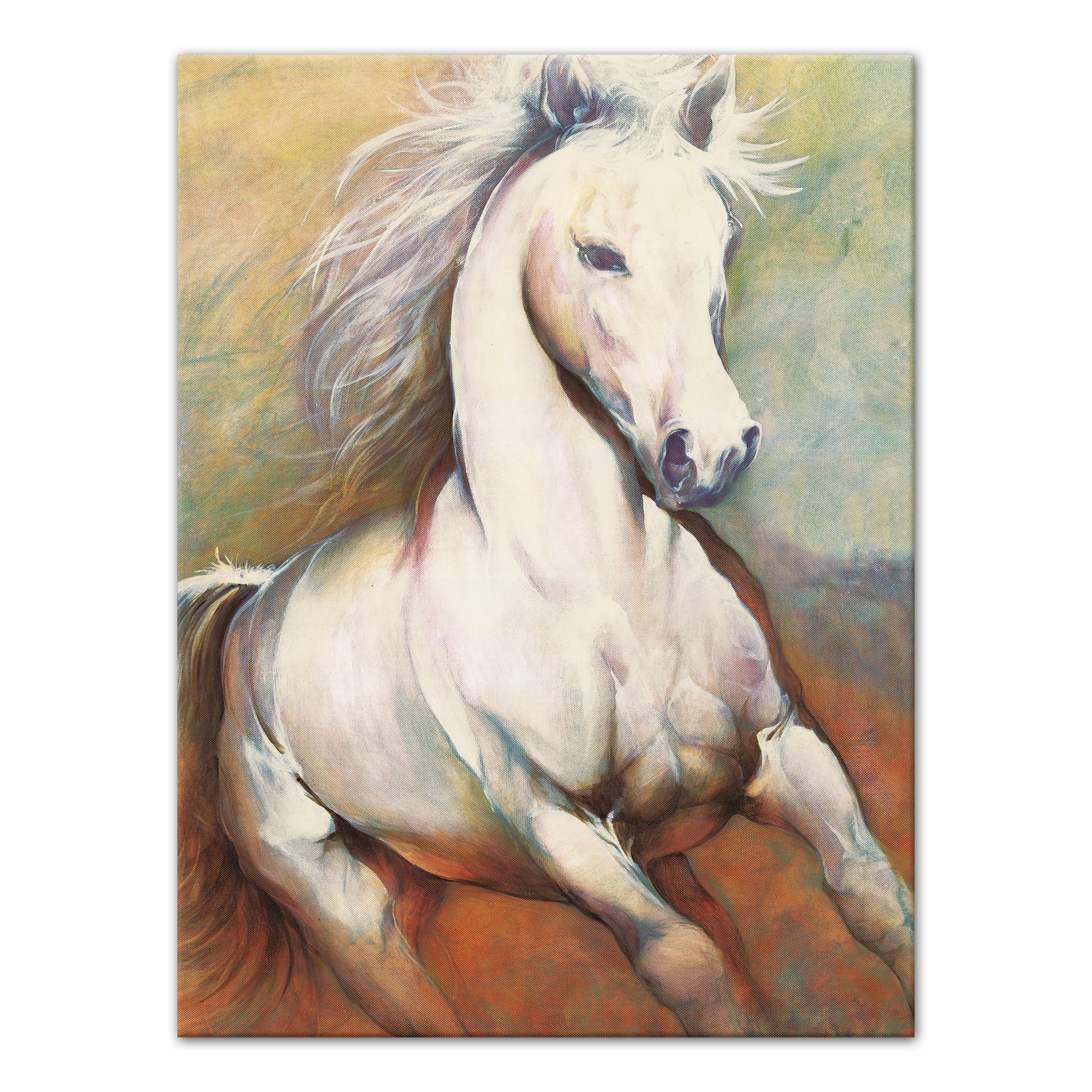 Designs Direct Creative Group White Horse Running Wild Wall Art