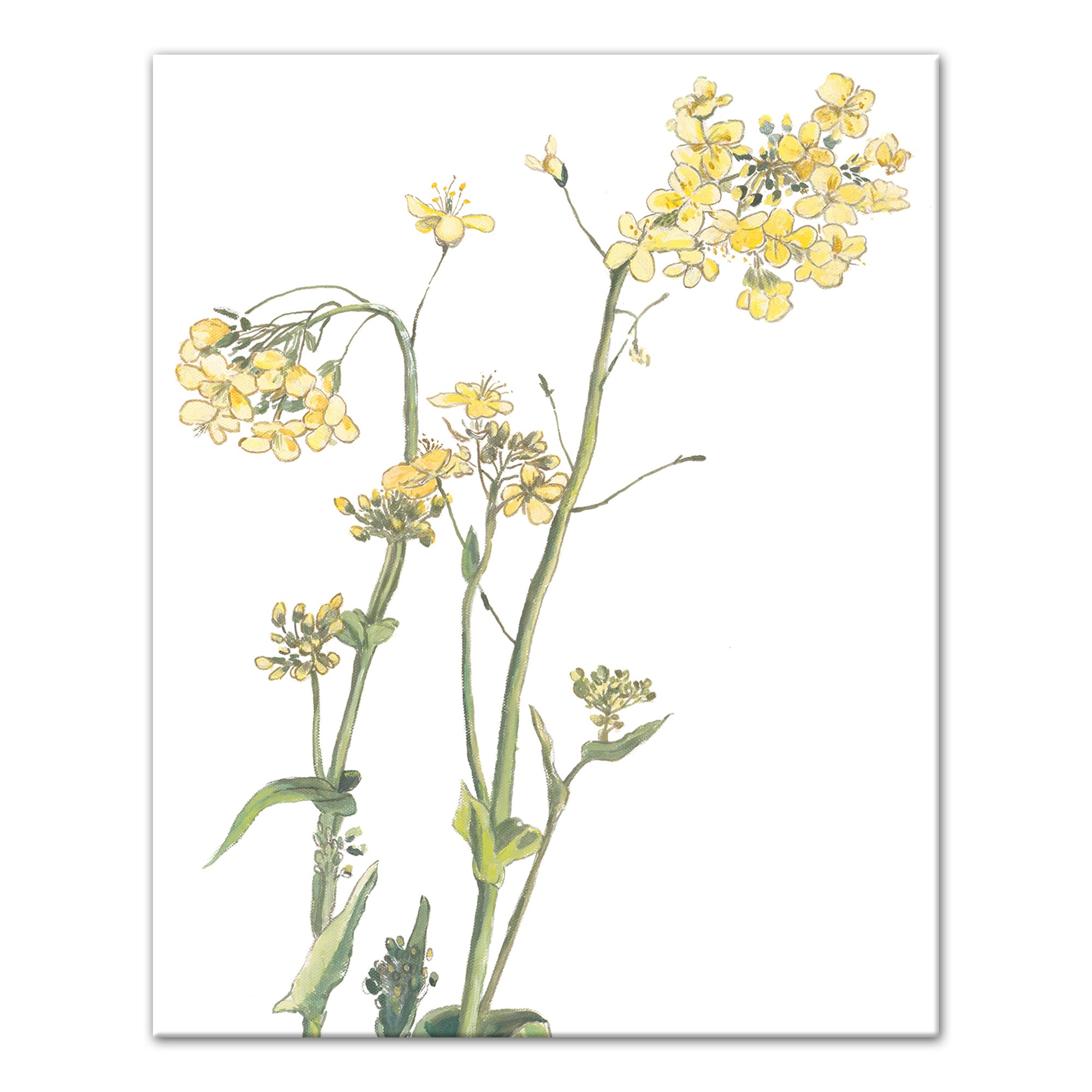 Yellow and Green Floral Botanicals Wall Art