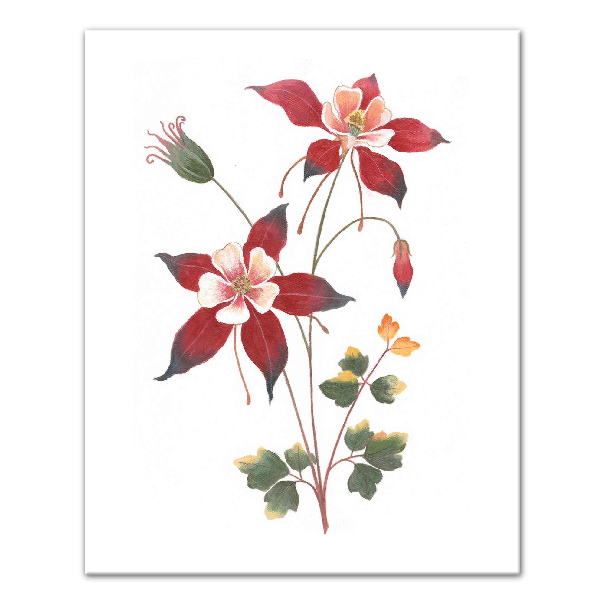 Pink and Red Floral Botanicals Wall Art