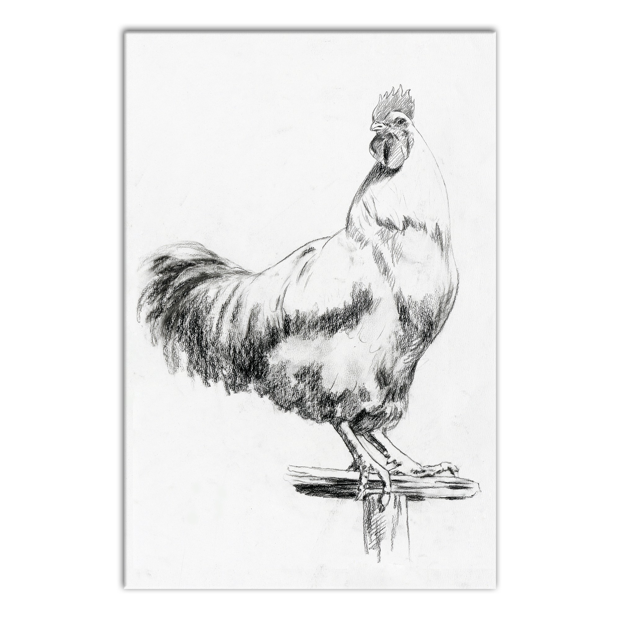 Designs Direct Creative Group Farmhouse Rooster Sketch Black and White Wall Art