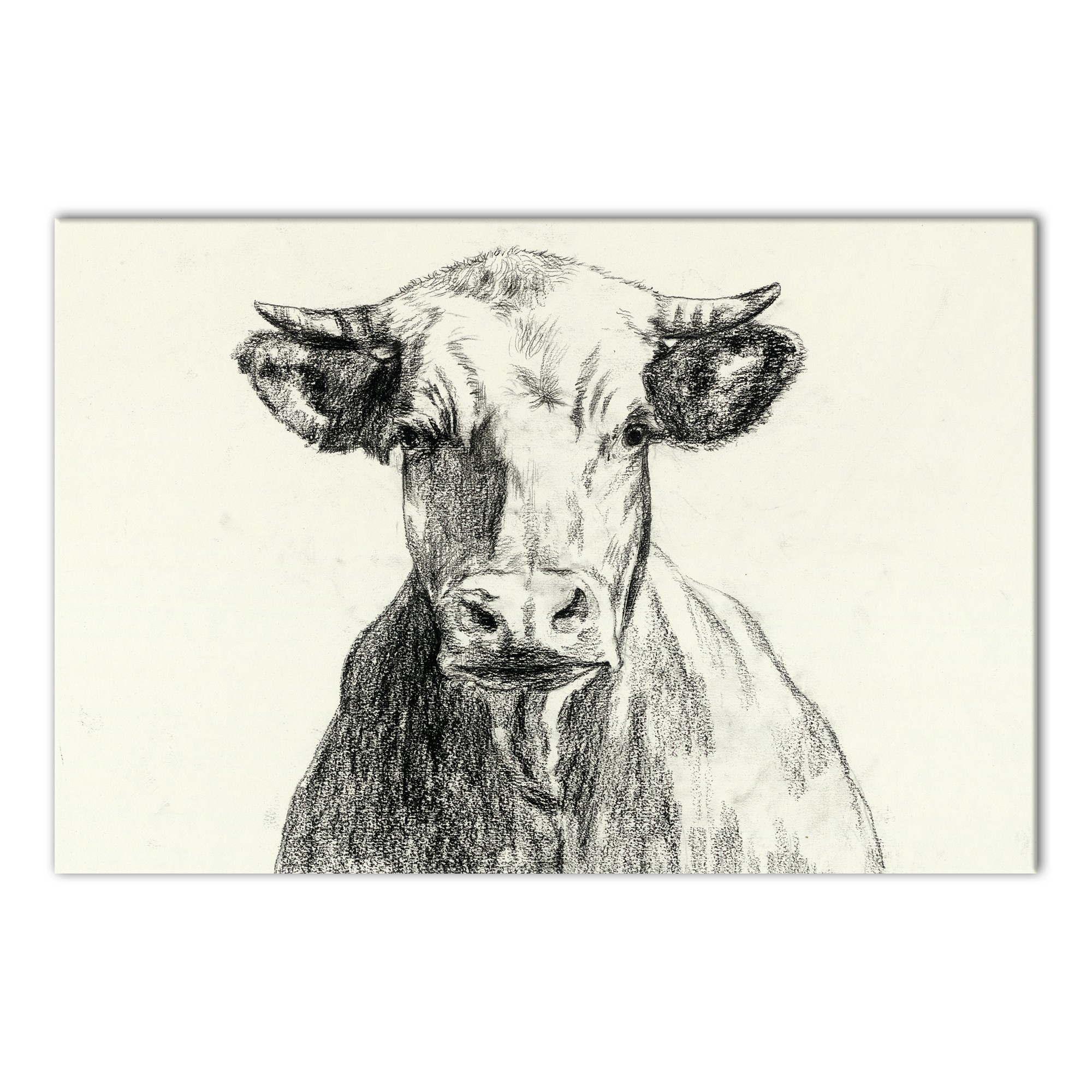 Designs Direct Creative Group Farmhouse Cow Sketch Wall Art