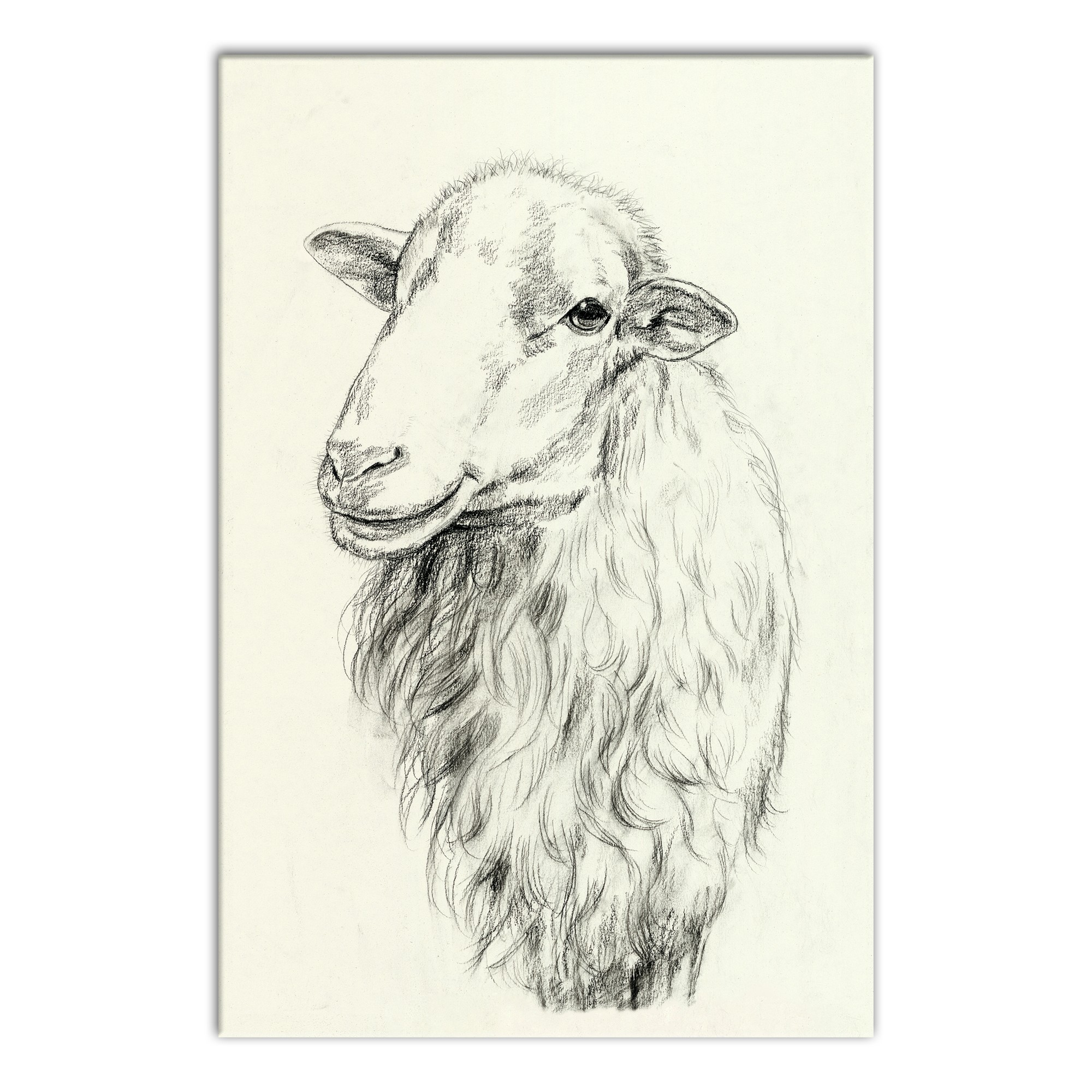 Designs Direct Creative Group Farmhouse Sheep Sketch Wall Art