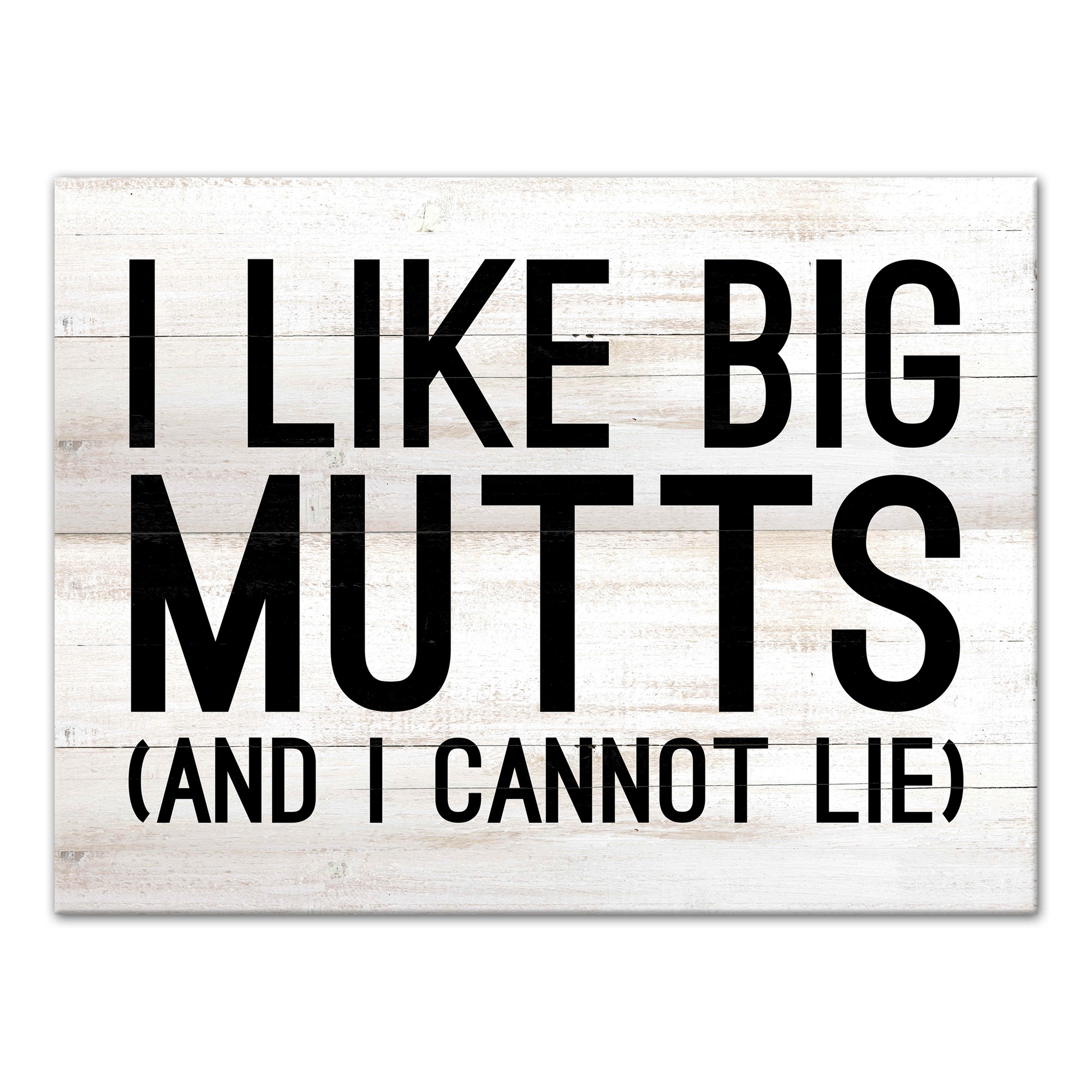 I Like Big Mutts 30x40 Canvas Wall Art