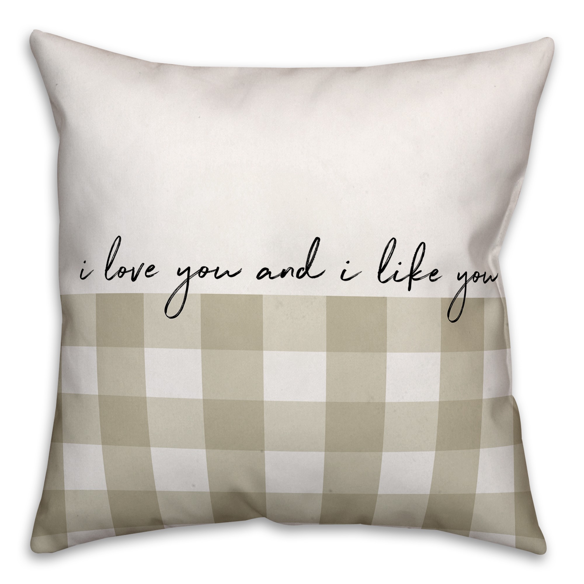 I Love You and I Like You 18x18 Spun Poly Pillow