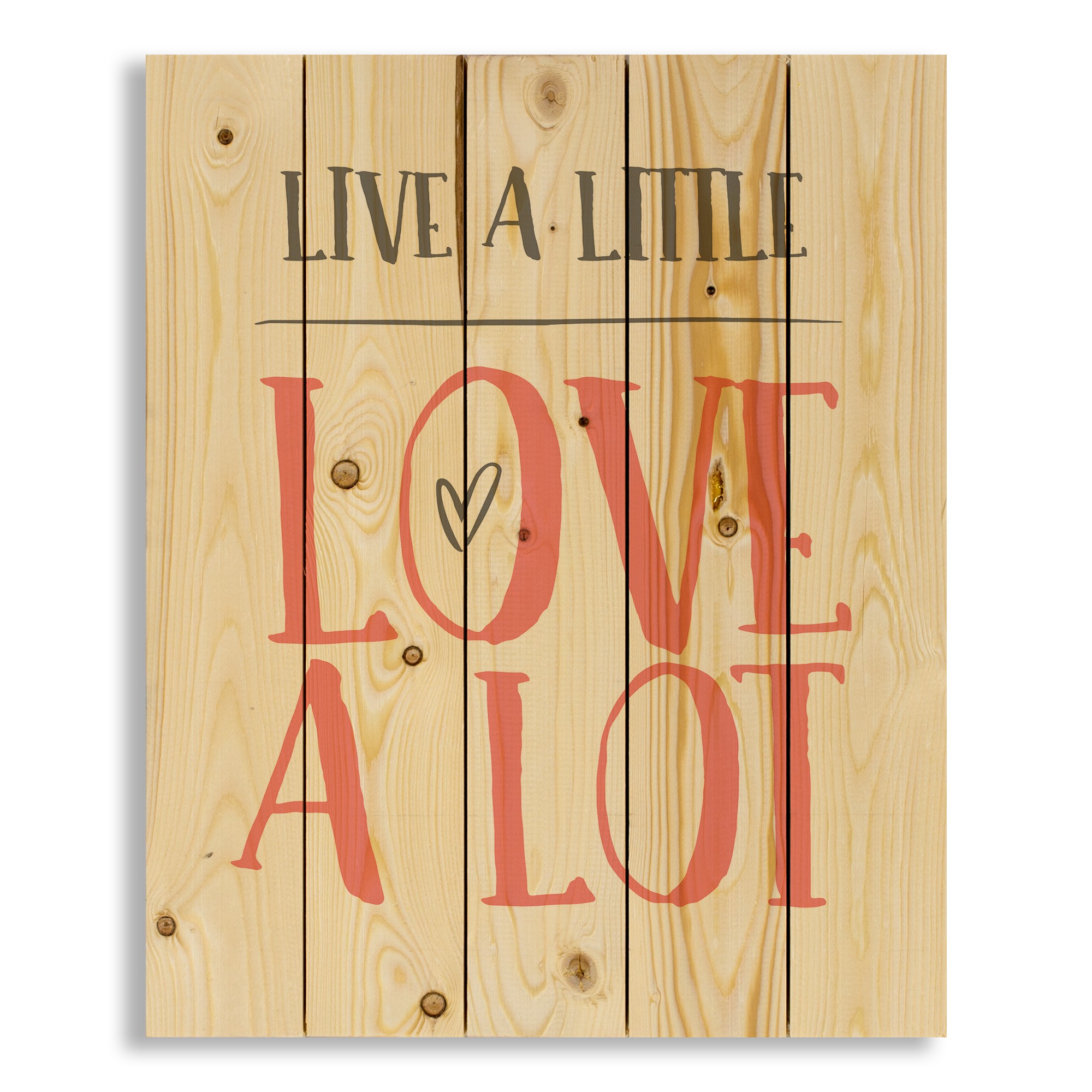 Live a Little, Love a Lot 18x22 Pallet Wood Art