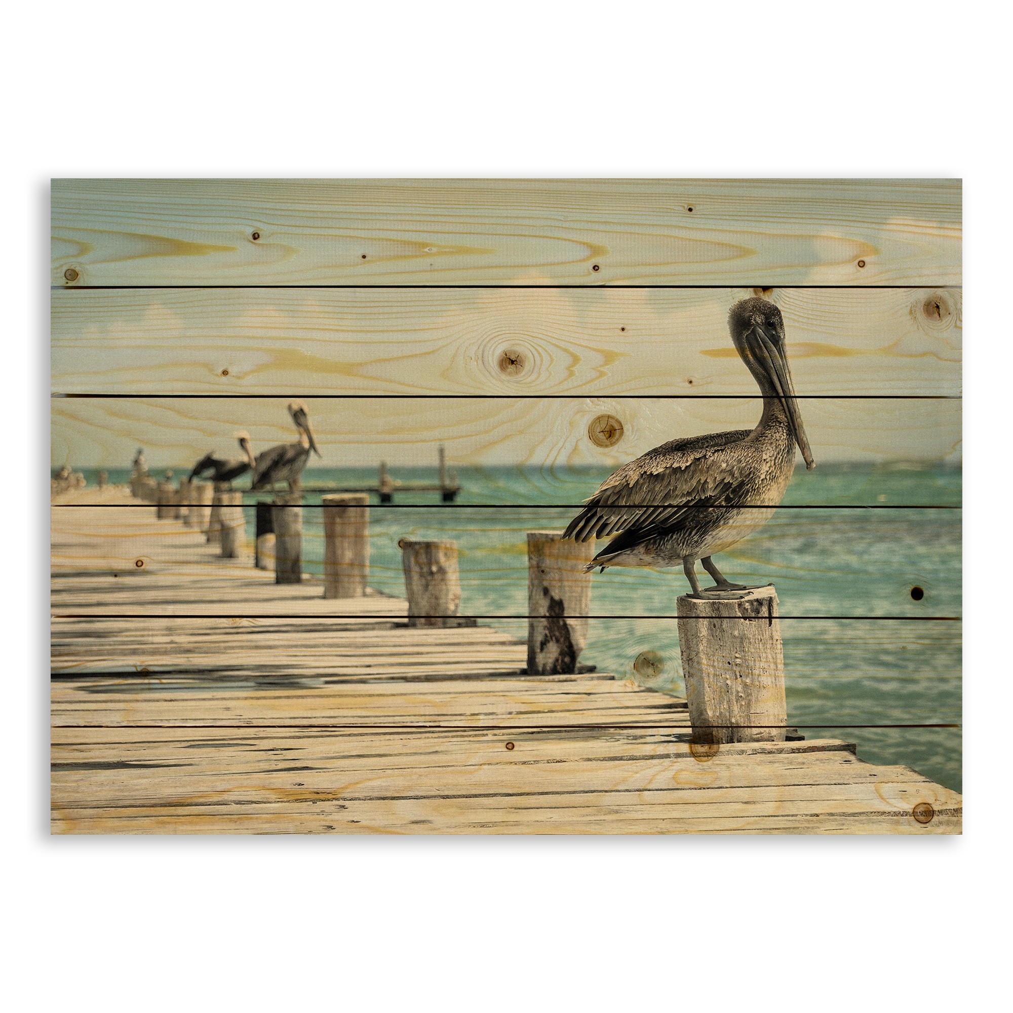 Perched Pelican 30x21 Pallet Wood Art