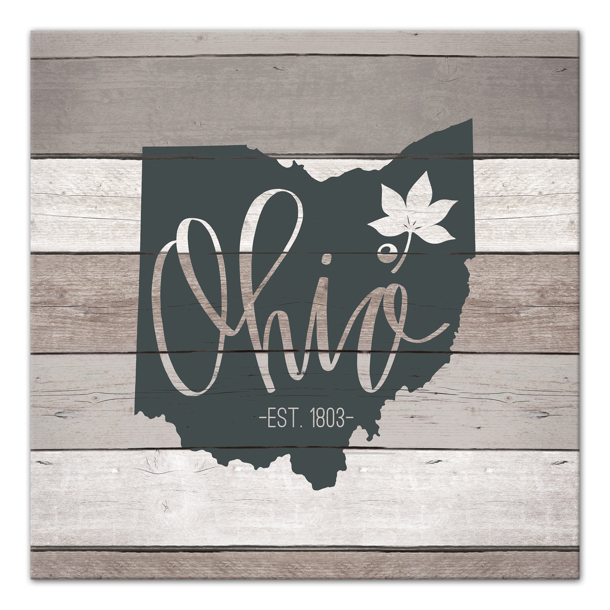 Ohio Established 16x16 Canvas Wall Art
