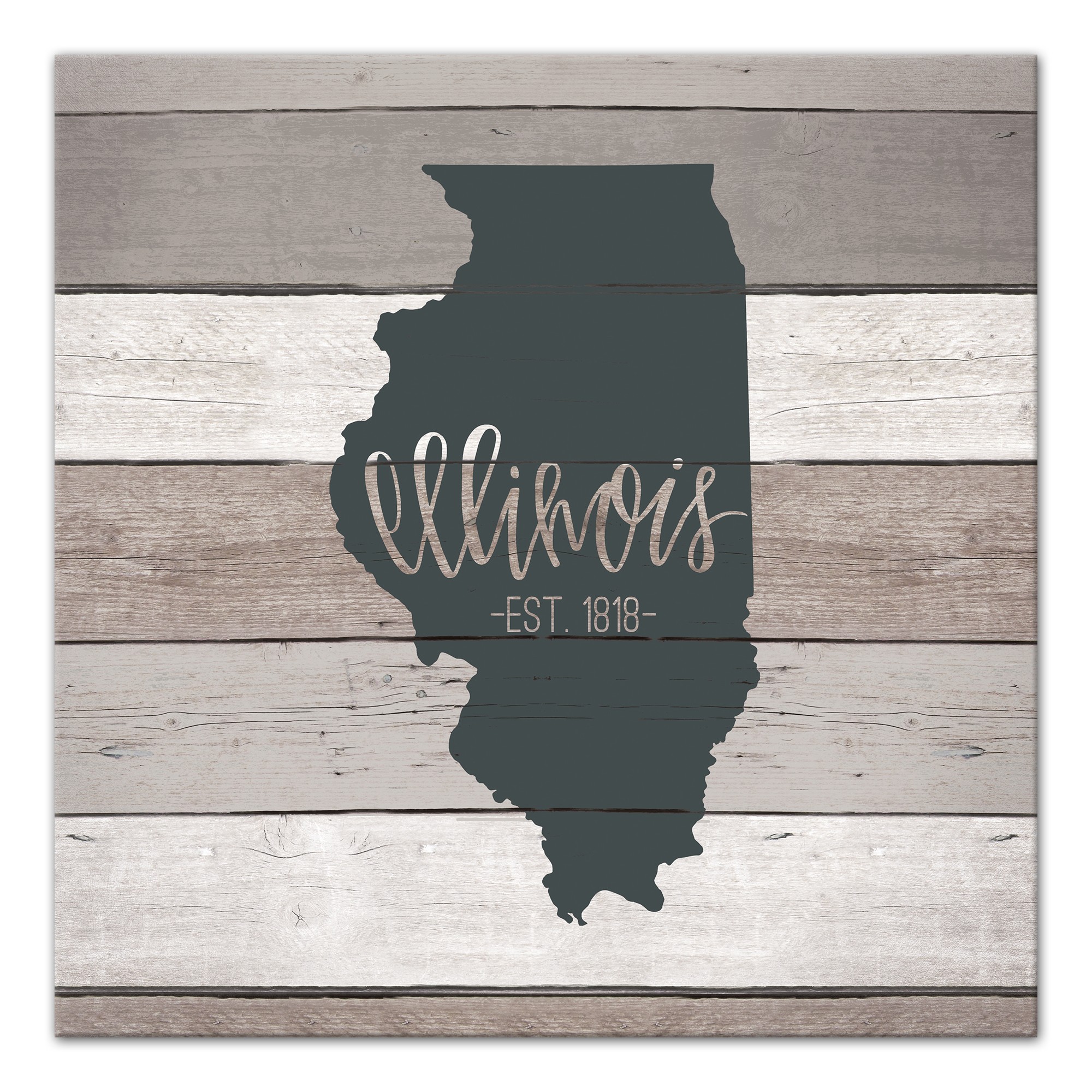 Illinois Established 16x16 Canvas Wall Art