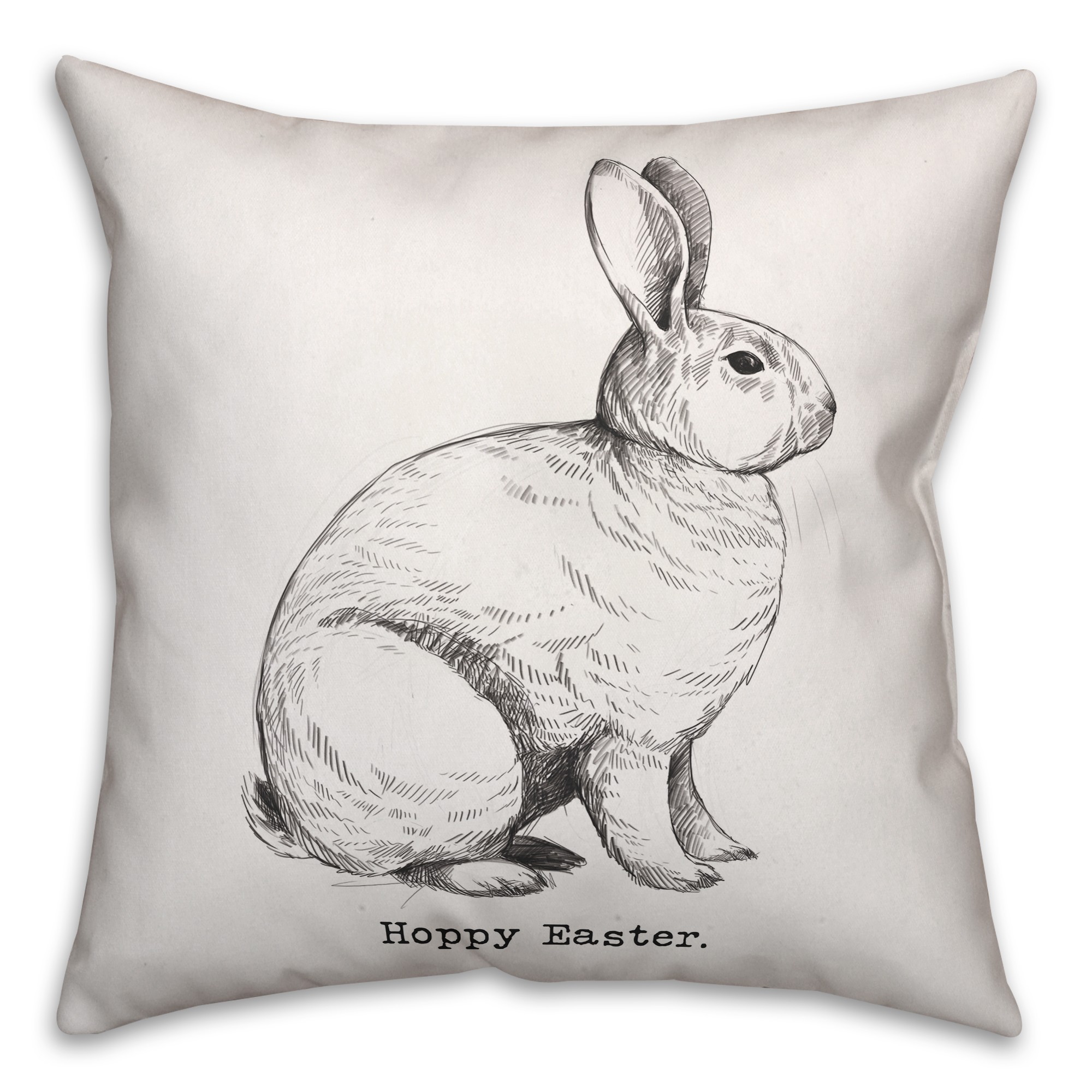 Hoppy Easter Bunny 18x18 Spun Poly Pillow