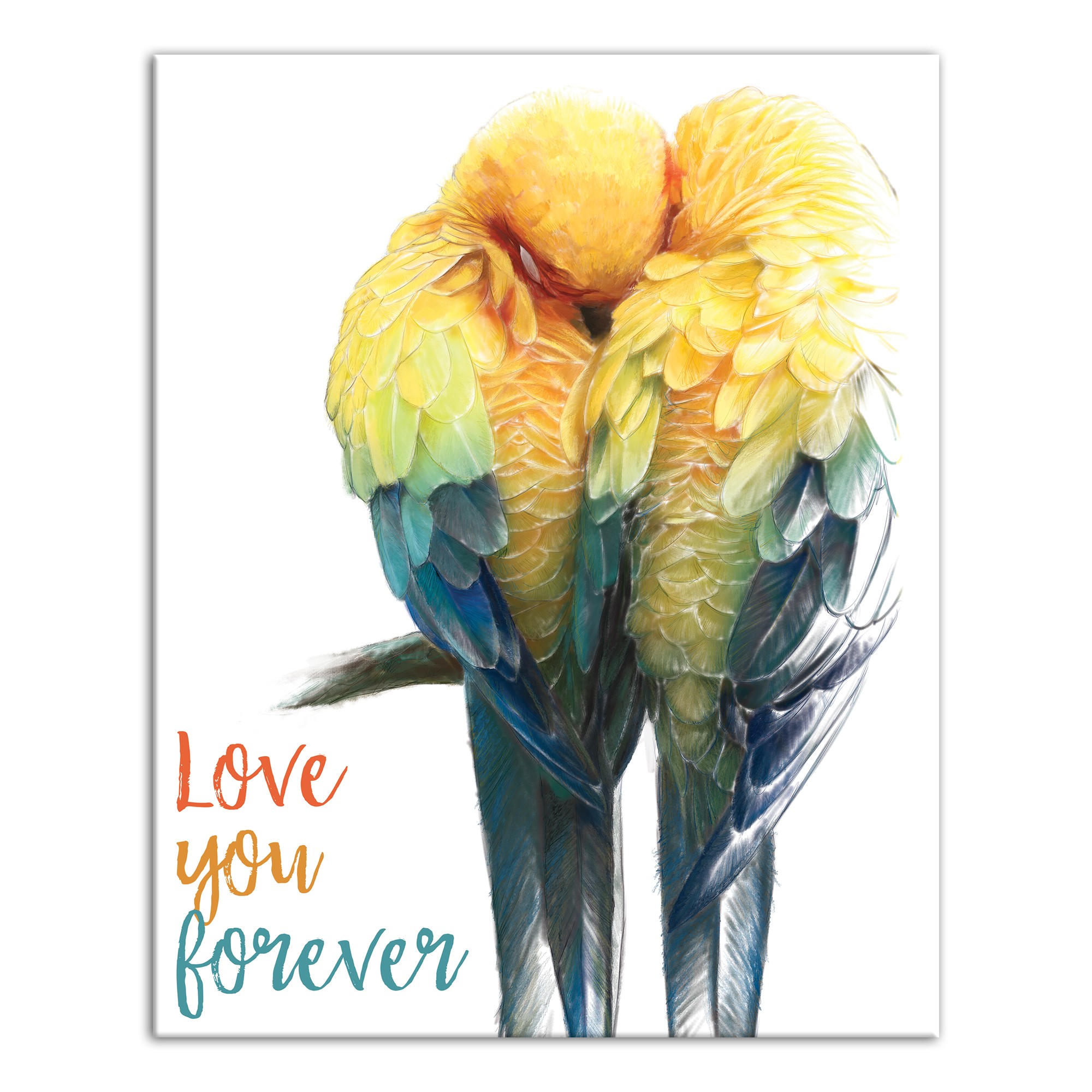 Love Birds 16x20 Canvas Wall Art