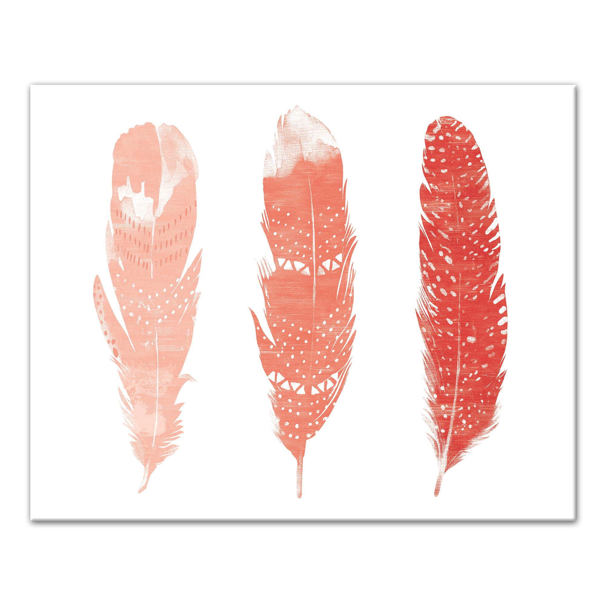 Gradient Tribal Feathers 16x20 Canvas Wall Art