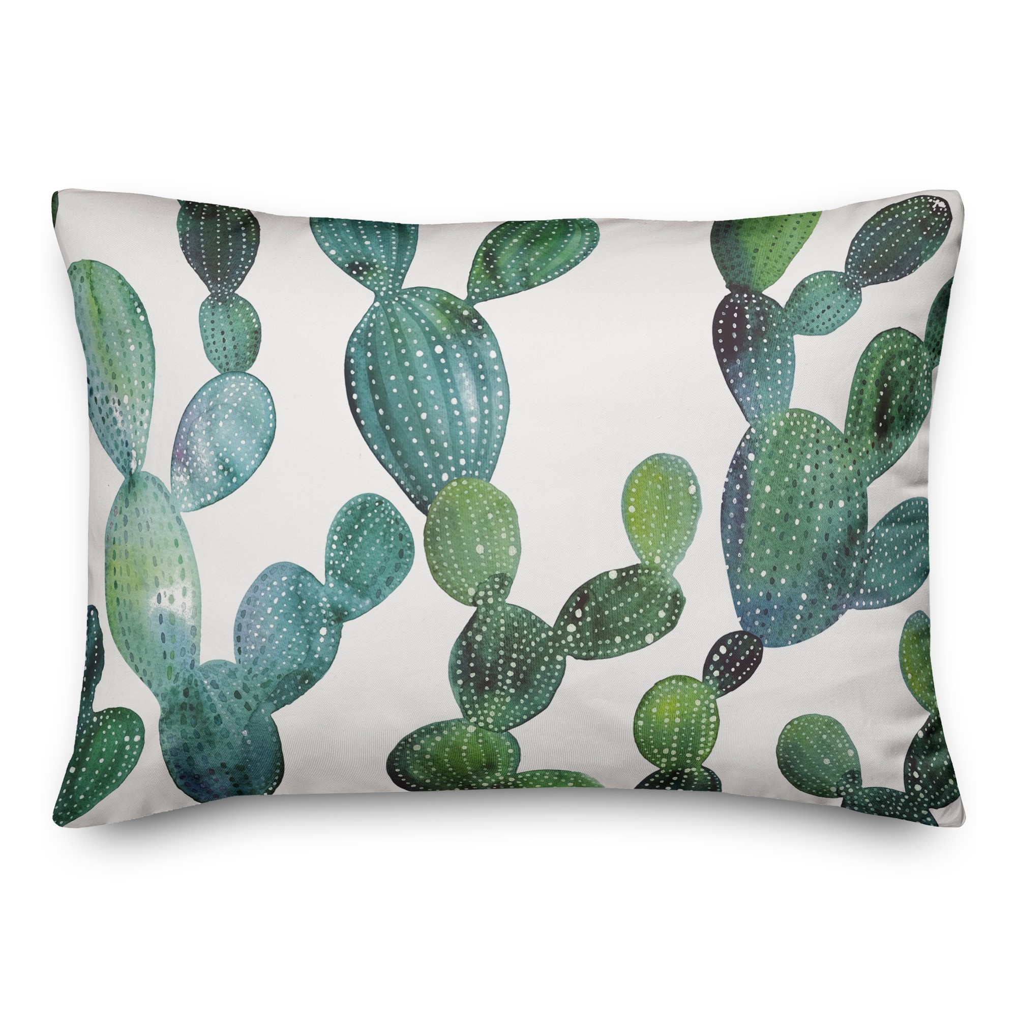 Watercolor Cactus 14x20 Spun Poly Pillow