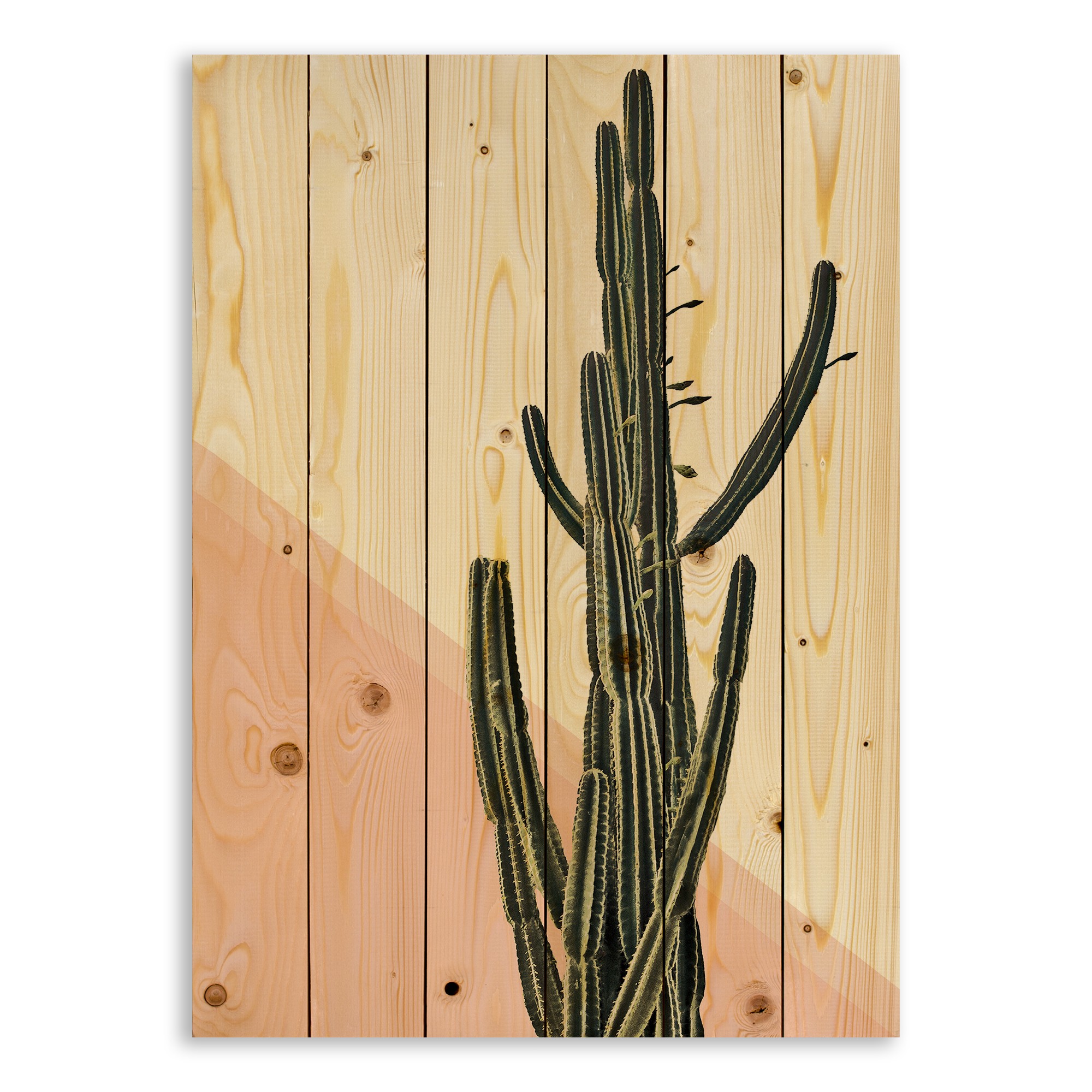 Pink Stripe Cactus 21x30 Pallet Wood Art