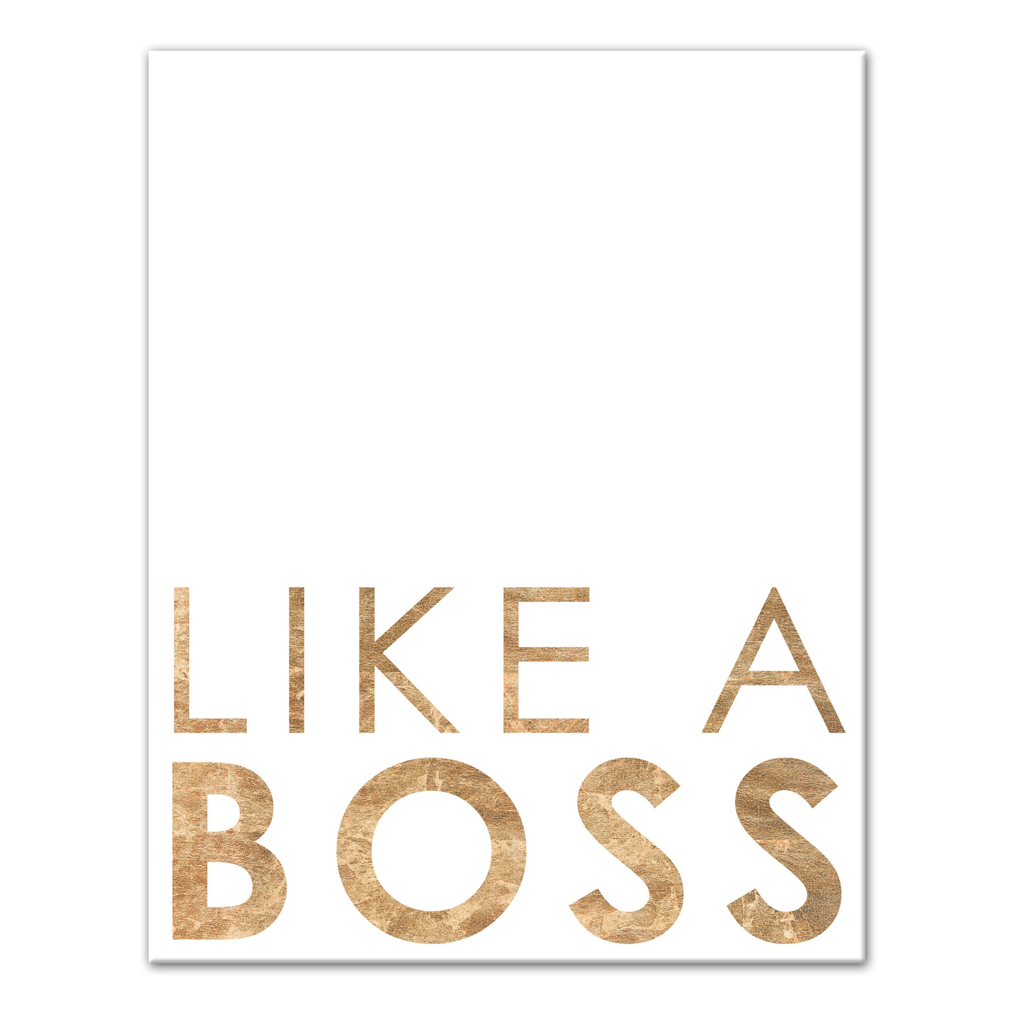 Like A Boss 11x14 Canvas Wall Art