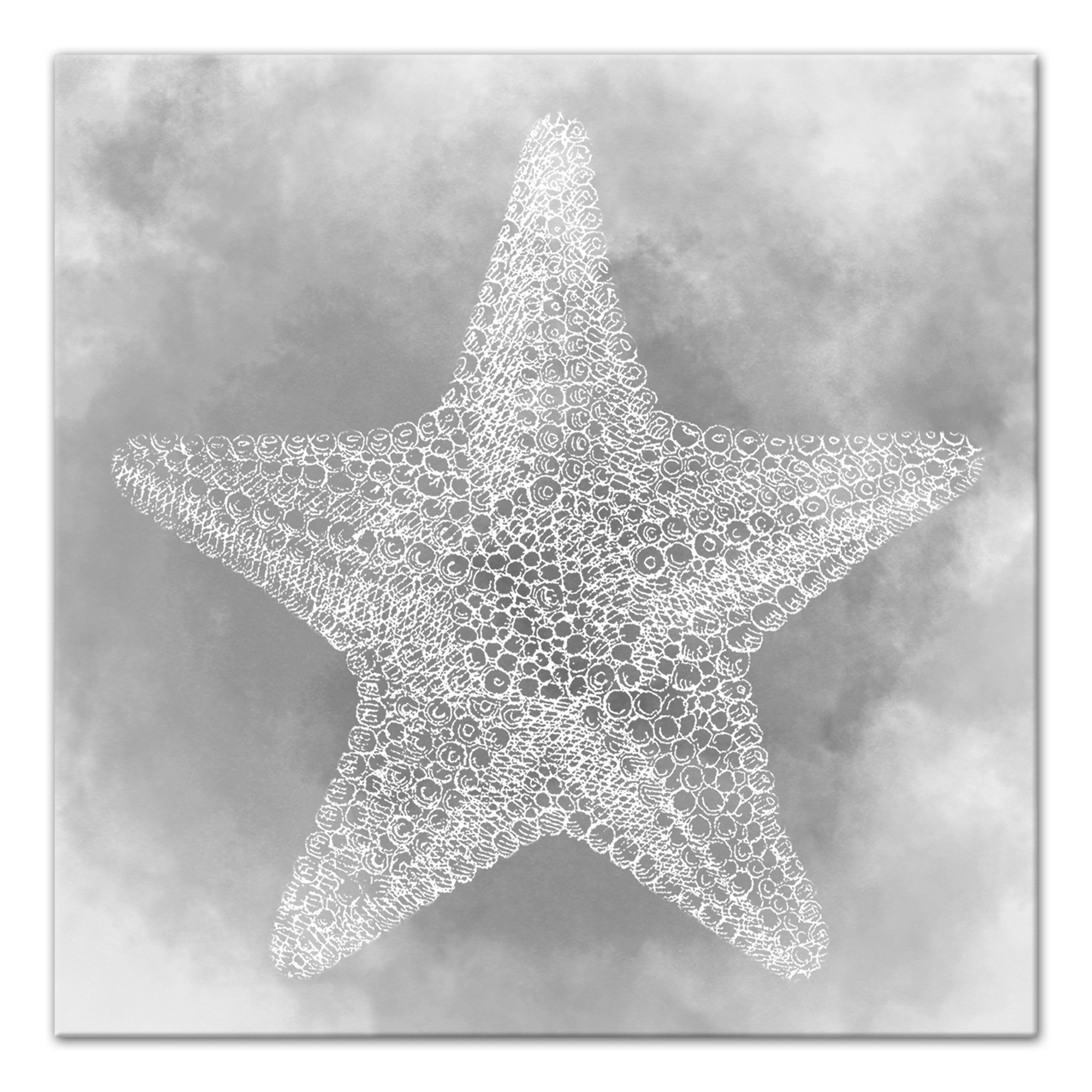 Gray Starfish 16x16 Canvas Wall Art