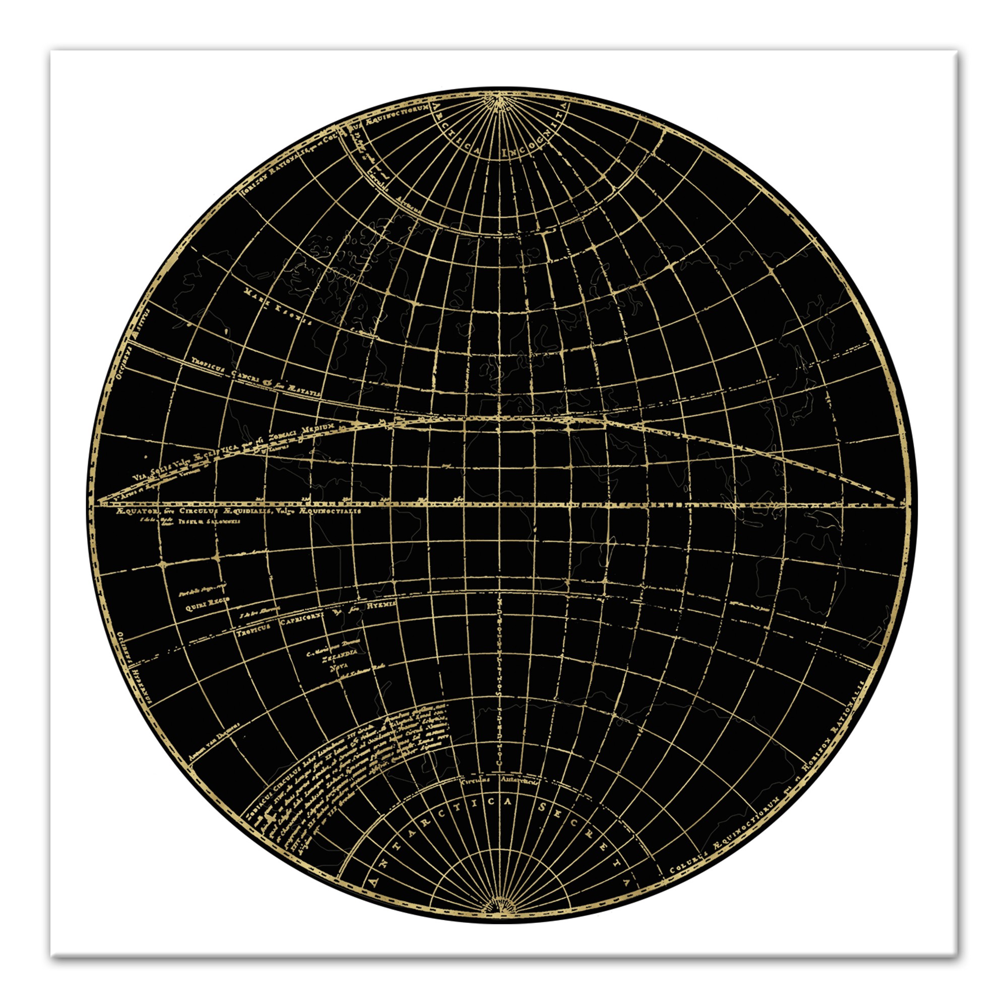 Globe Circle Print 1 24x24 Canvas Wall Art