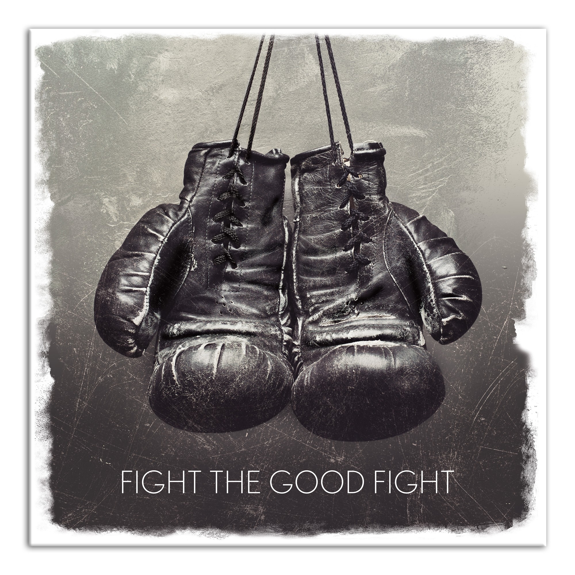 Fight the Good Fight 20x20 Canvas Wall Art