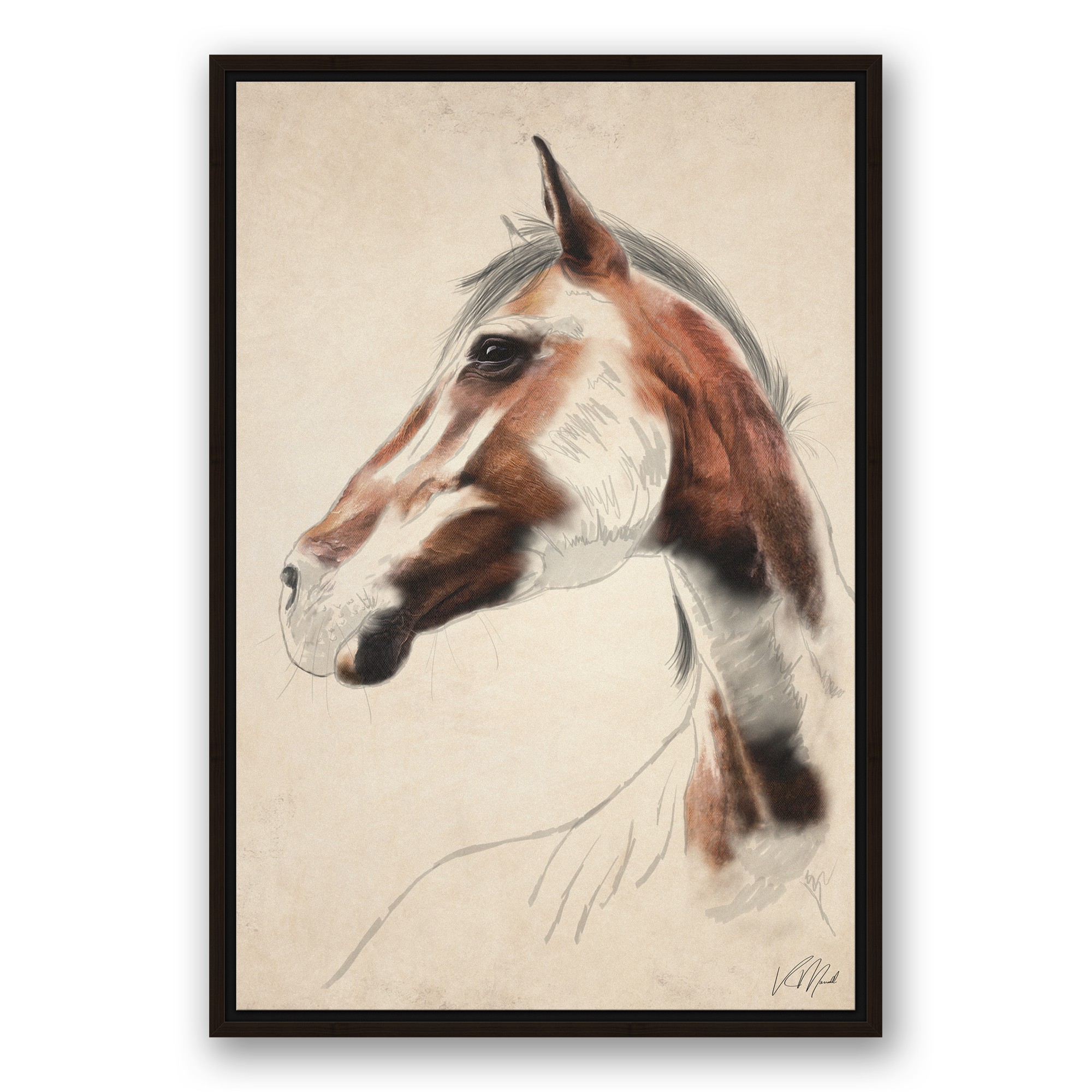 Abandoned Mare 20x30 Black Floating Framed Canvas