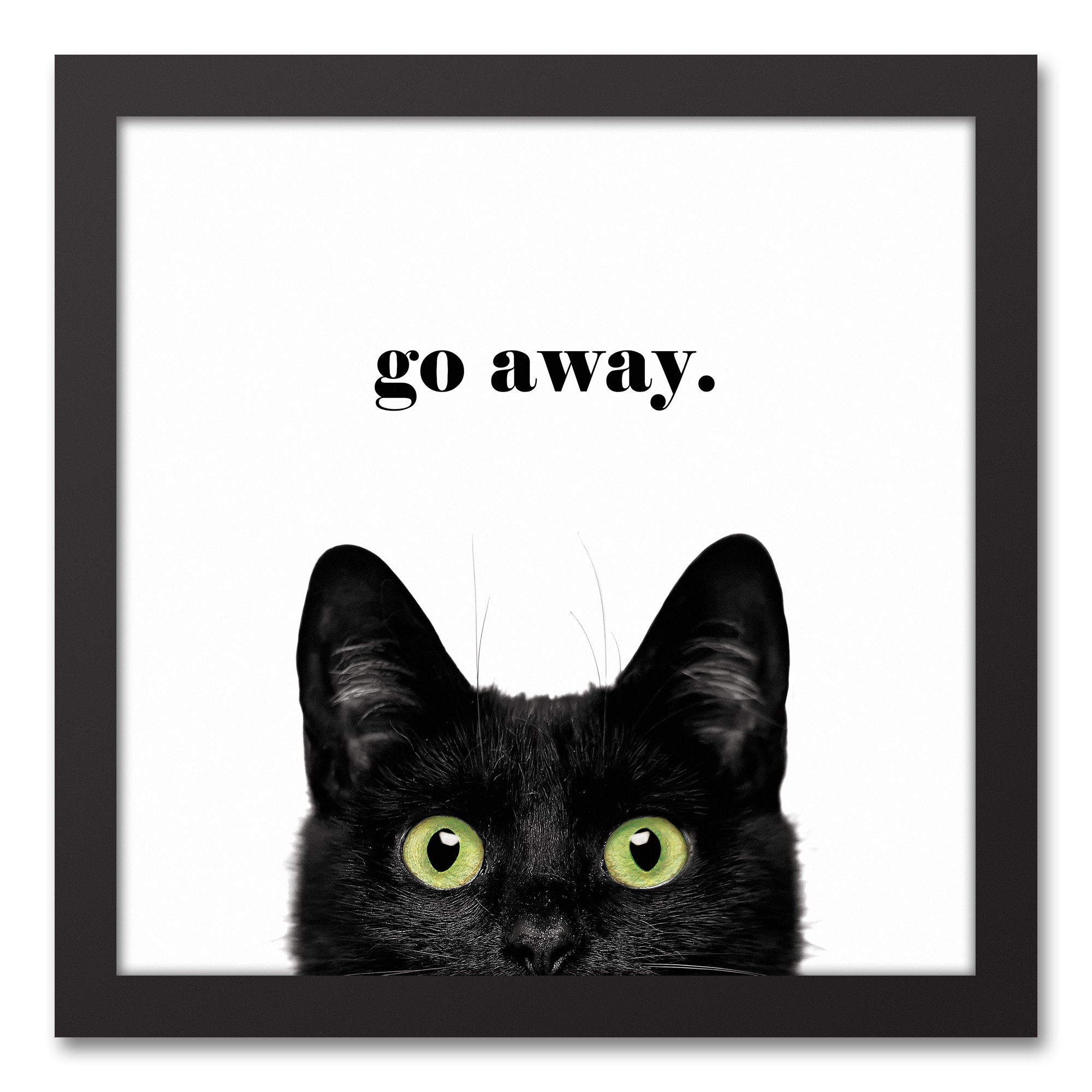 Go Away Cat 12x12 Black Framed Canvas