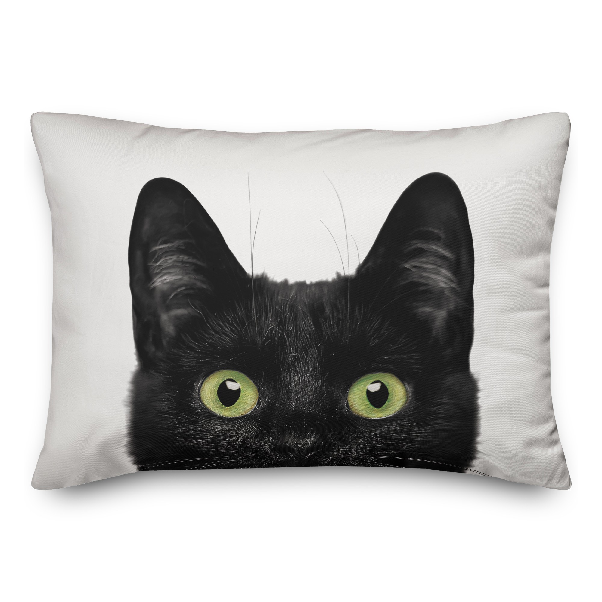 Cat Eyes 14x14 Poly Twill Pillow