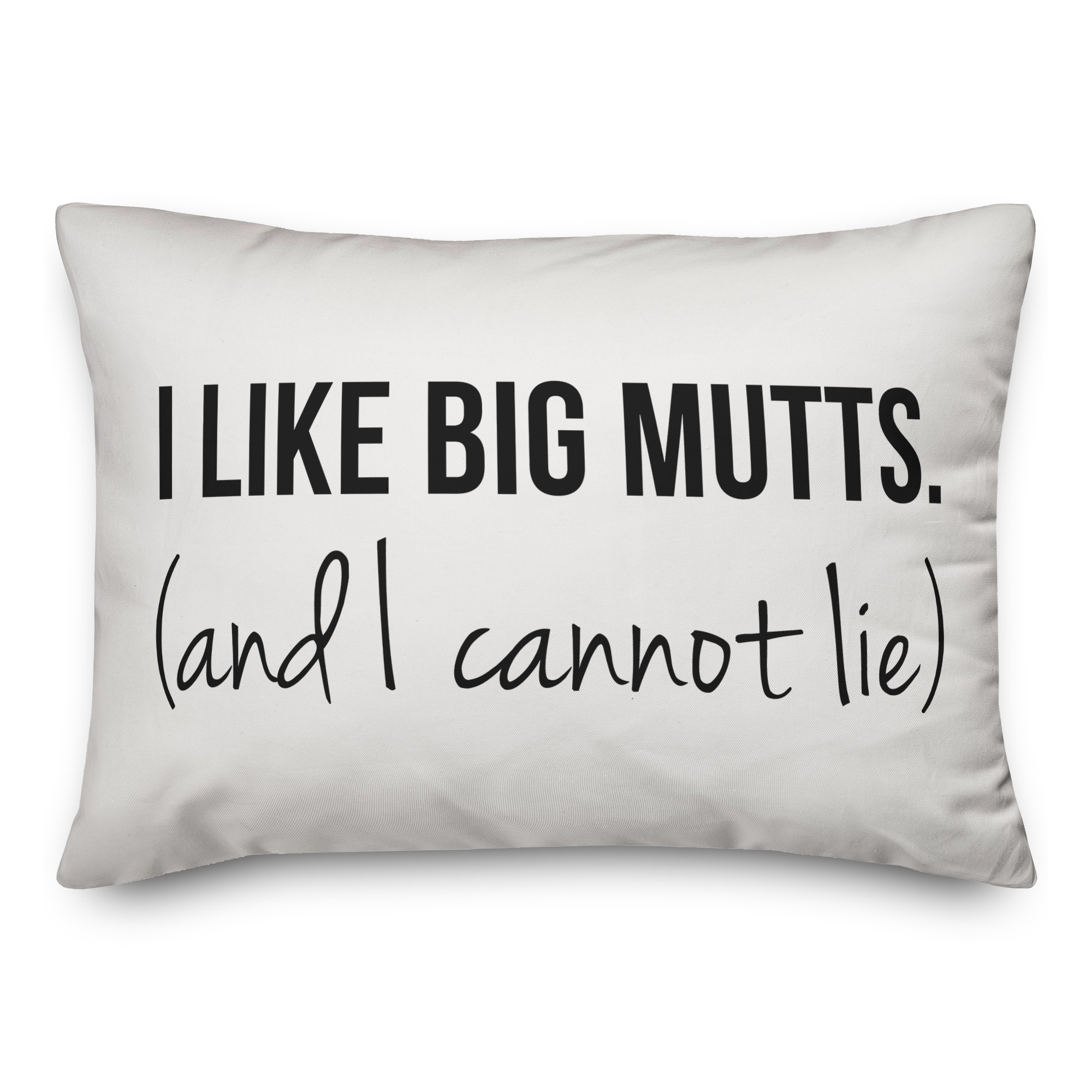 I Like Big Mutts And I Cannot Lie 14x14 Poly Twill Pillow