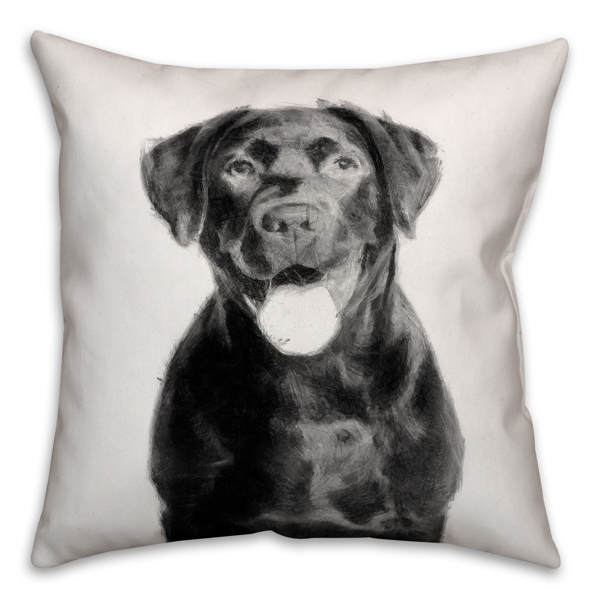 Lab Sketch 18x18 Poly Twill Pillow