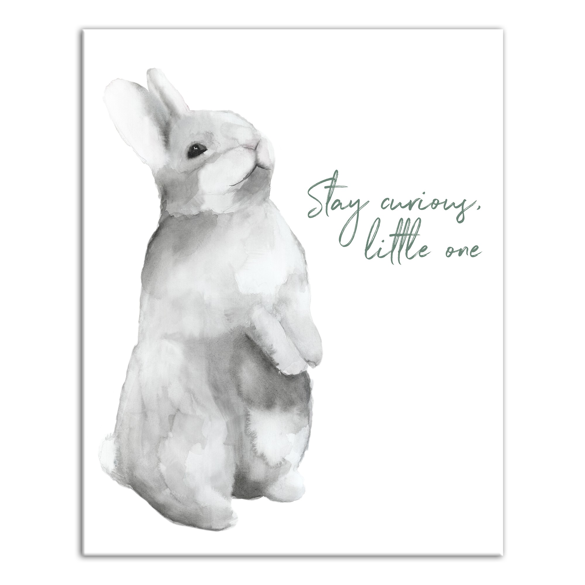 Stay Curious Little One 16x20 Canvas Wall Art