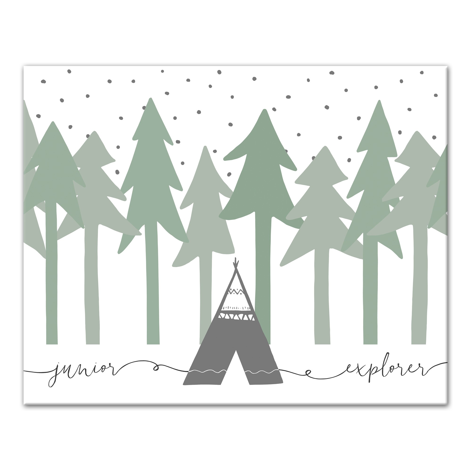 Junior Explorer 16x20 Canvas Wall Art