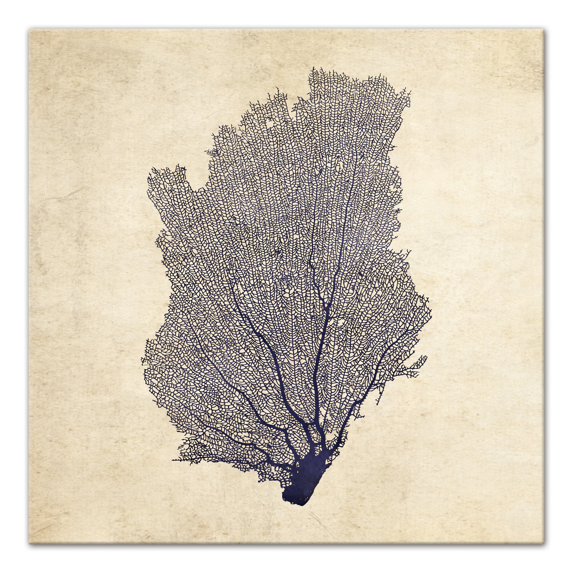 Navy Coral Fan Set Separates Wall Art