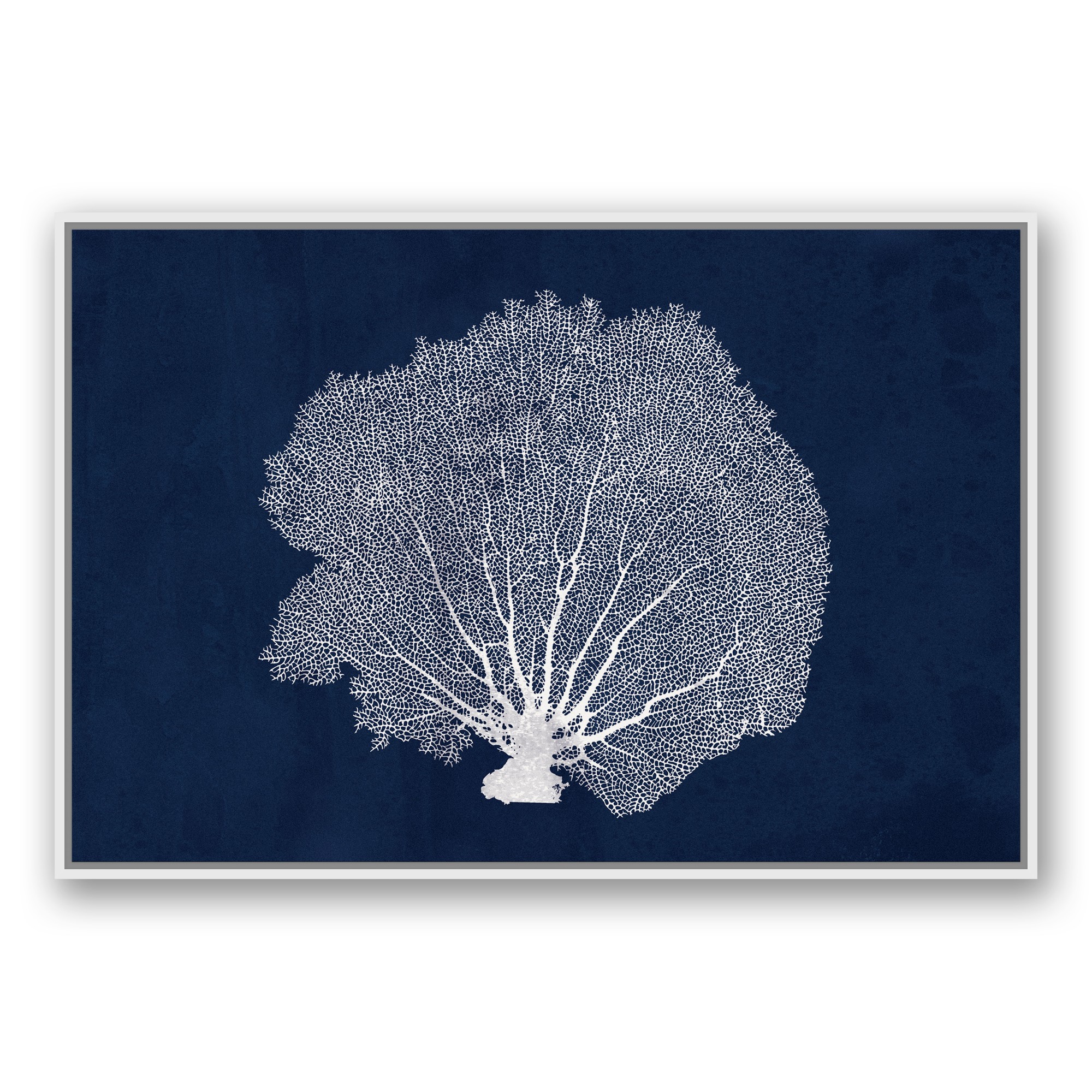 Nautical Full Fan Coral  Wall Art
