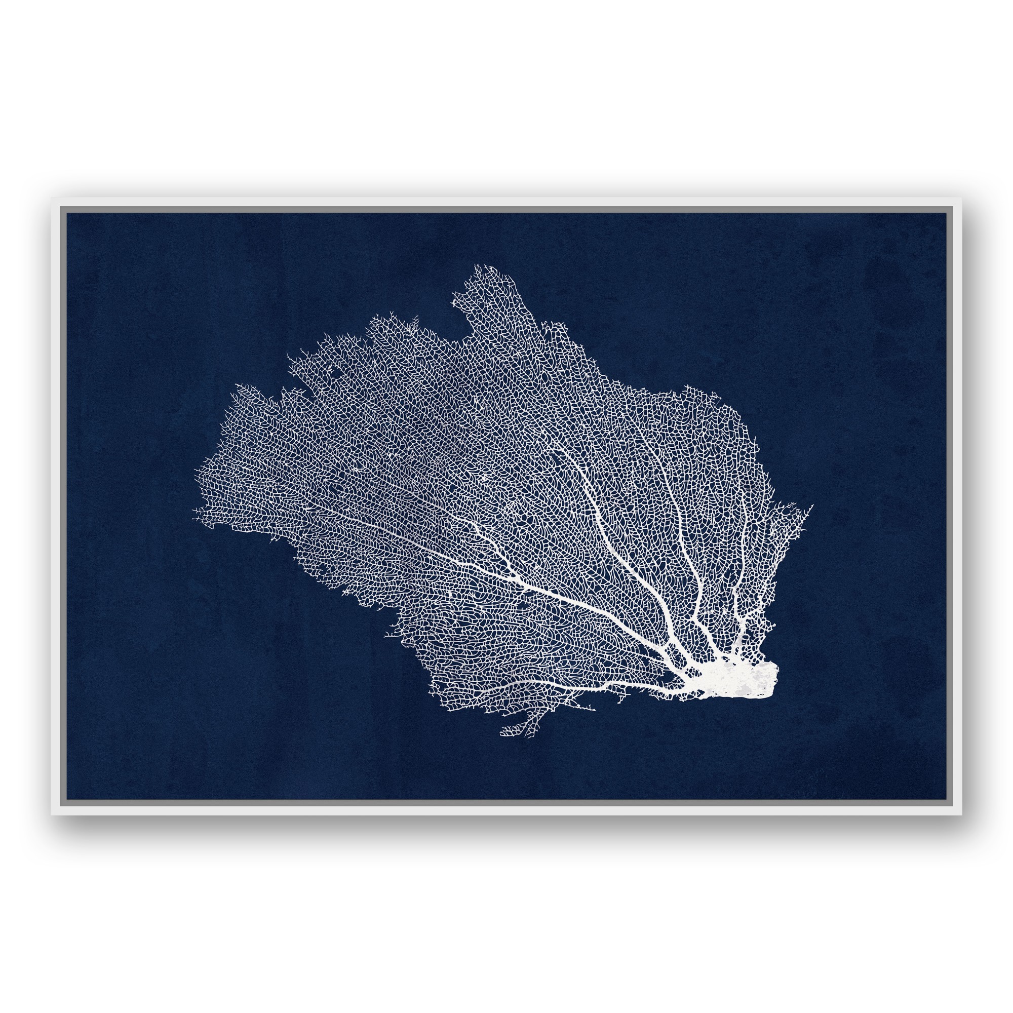 Nautical Broken Fan Coral Wall Art